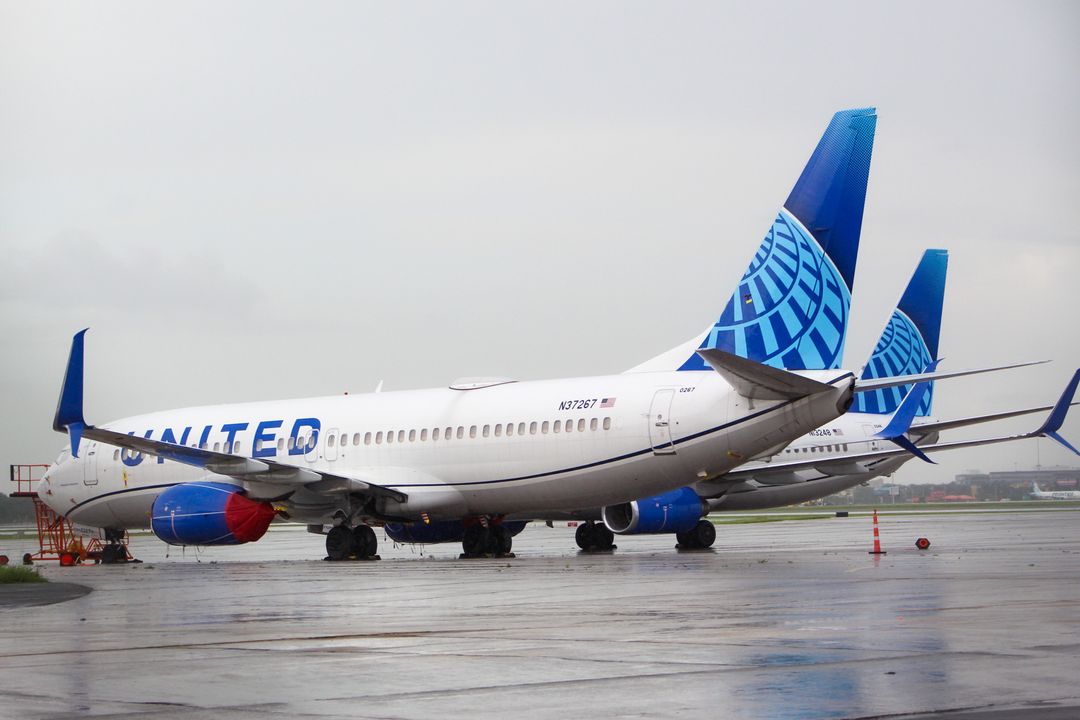 Photo of N37267 - United Airlines Boeing 737-800 at MCO on AeroXplorer Aviation Database Photo of N37267 - United Airlines Boeing 737-800 at MCO on AeroXplorer Aviation Database