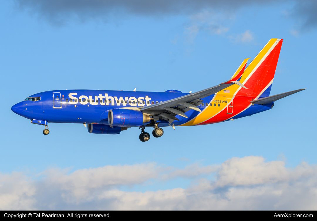 Photo of N556WN - Southwest Airlines Boeing 737-700 at BWI on AeroXplorer Aviation Database