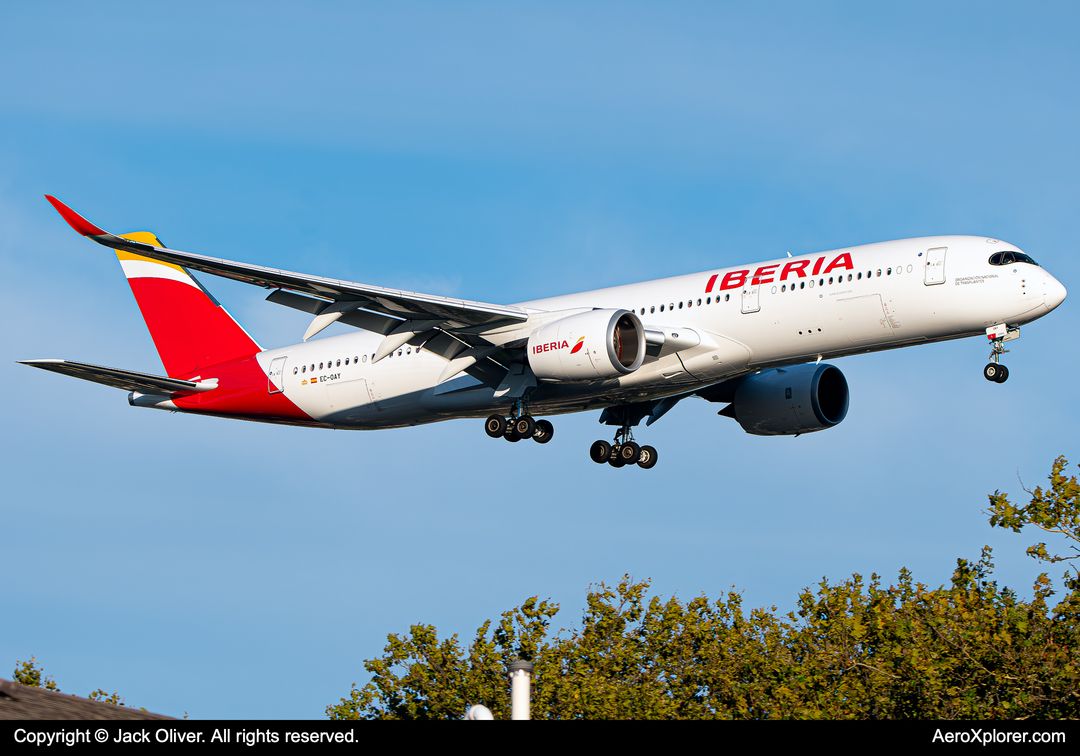 Photo of EC-OAY - Iberia Airbus A350-900 at JFK on AeroXplorer Aviation Database Photo of EC-OAY - Iberia Airbus A350-900 at JFK on AeroXplorer Aviation Database