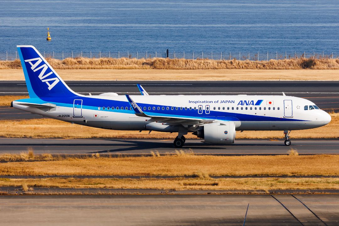 Photo of JA220A - All Nippon Airways Airbus A320NEO at HND on AeroXplorer Aviation Database Photo of JA220A - All Nippon Airways Airbus A320NEO at HND on AeroXplorer Aviation Database