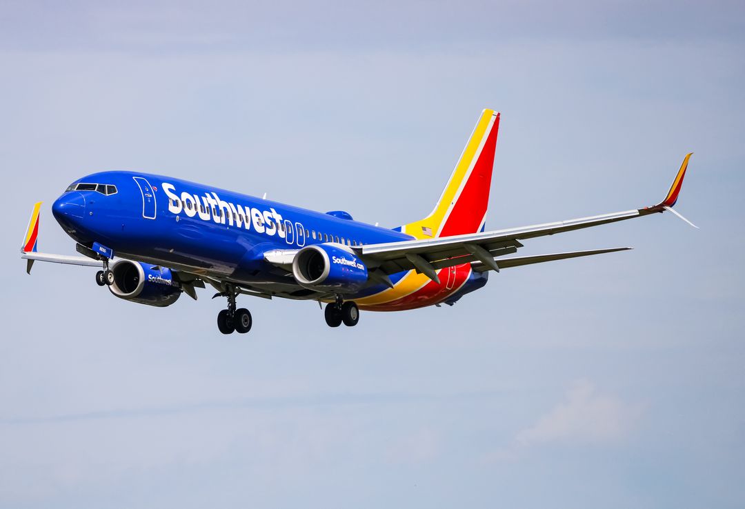 Photo of N8690A - Southwest Airlines Boeing 737-800 at BWI on AeroXplorer Aviation Database Photo of N8690A - Southwest Airlines Boeing 737-800 at BWI on AeroXplorer Aviation Database