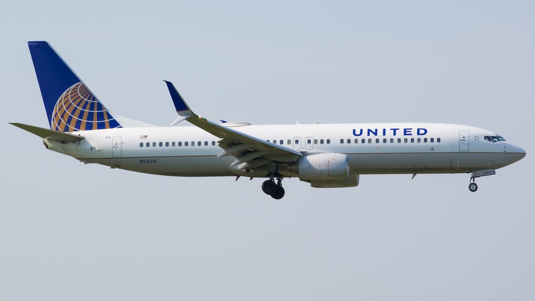 Photo of N54241 - United Airlines Boeing 737-800 at ORD on AeroXplorer Aviation Database Photo of N54241 - United Airlines Boeing 737-800 at ORD on AeroXplorer Aviation Database