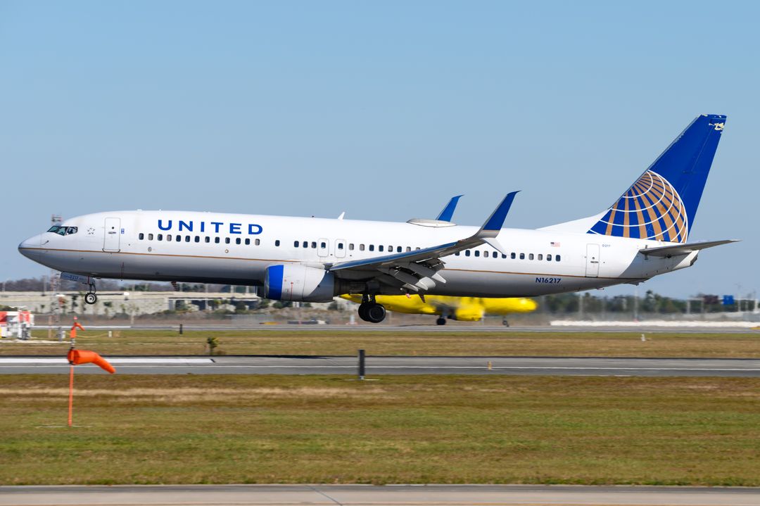 Photo of N16217 - United Airlines Boeing 737-800 at MCO on AeroXplorer Aviation Database Photo of N16217 - United Airlines Boeing 737-800 at MCO on AeroXplorer Aviation Database