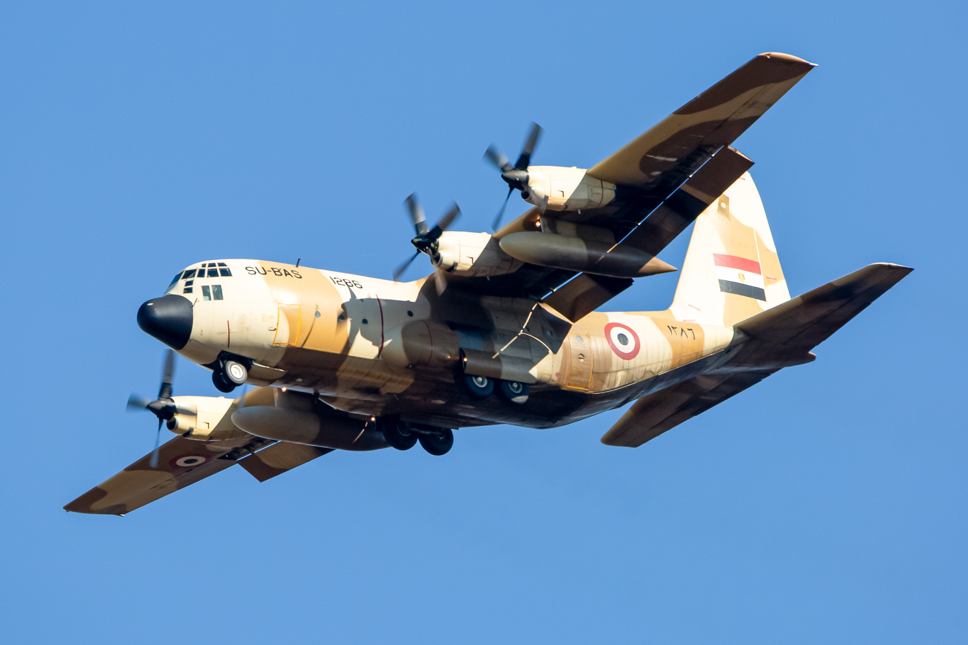 Full size: Egypt Air Force Lockheed C-130H Hercules SU-BAS at Baltimore/Washington International Thurgood Marshall Airport