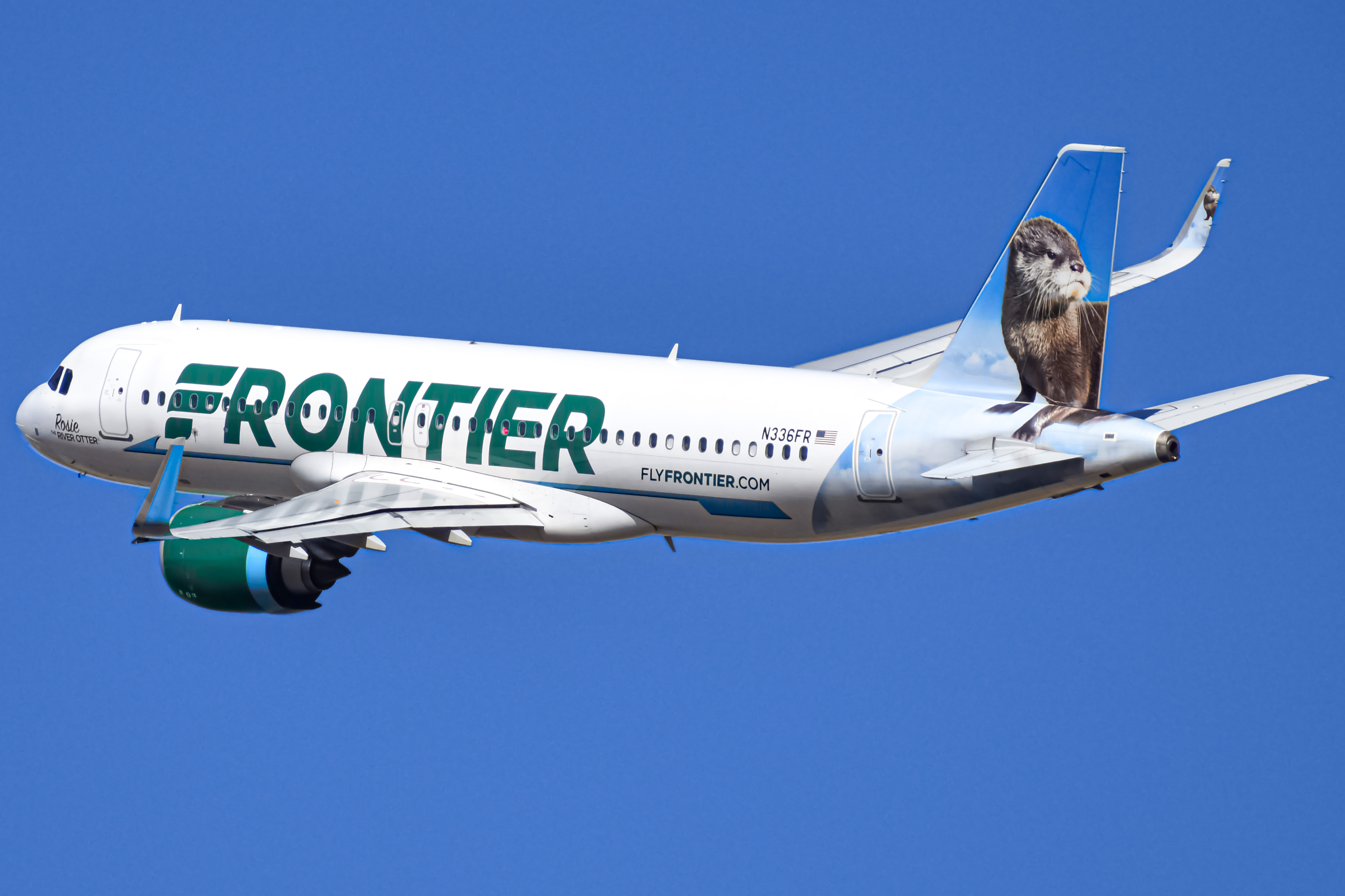 Full size: Frontier Airlines Airbus A320NEO N337FR at Denver International Airport