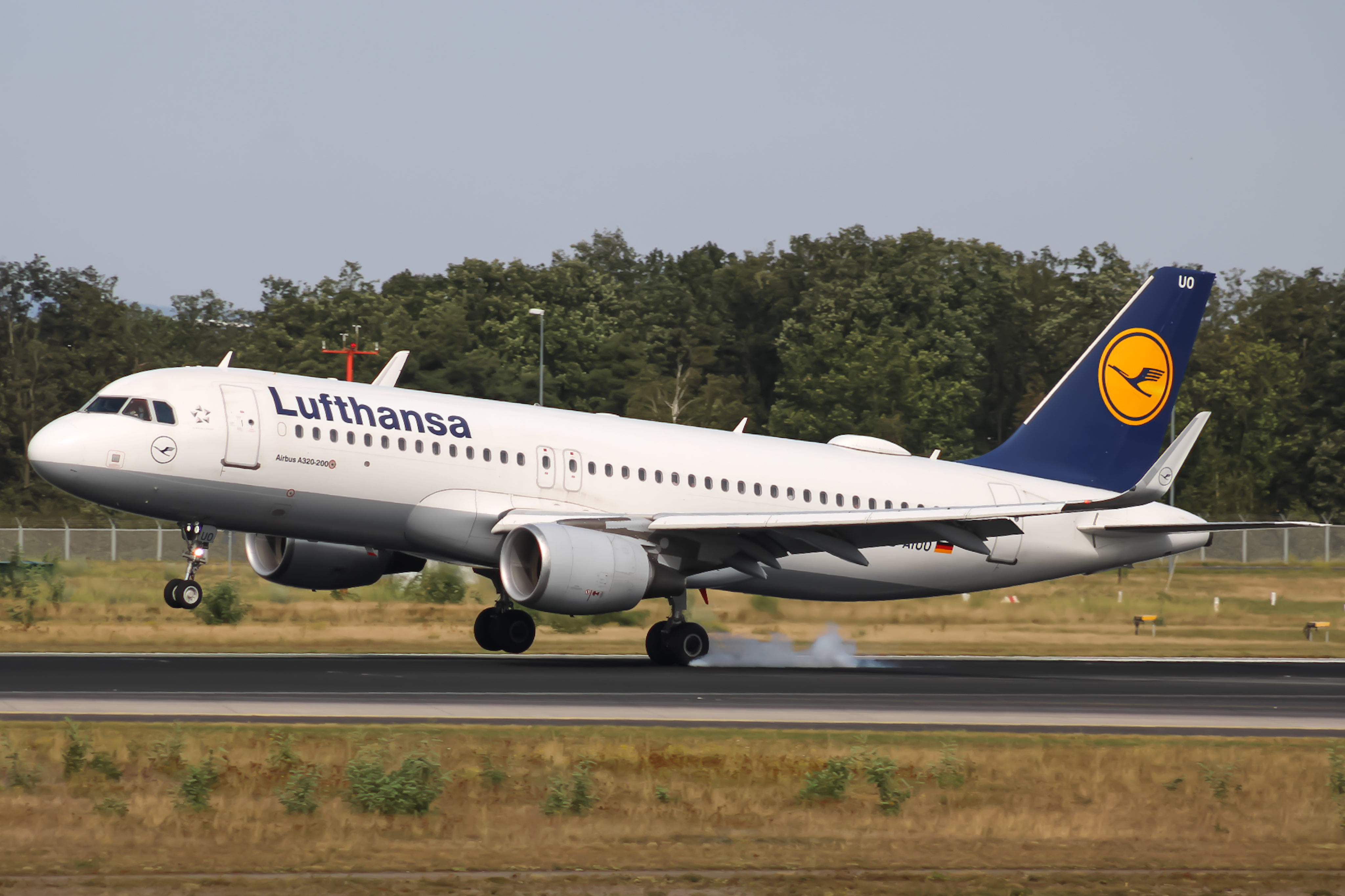 Full size: Lufthansa Airbus A320 D-AIUO at Frankfurt International Airport