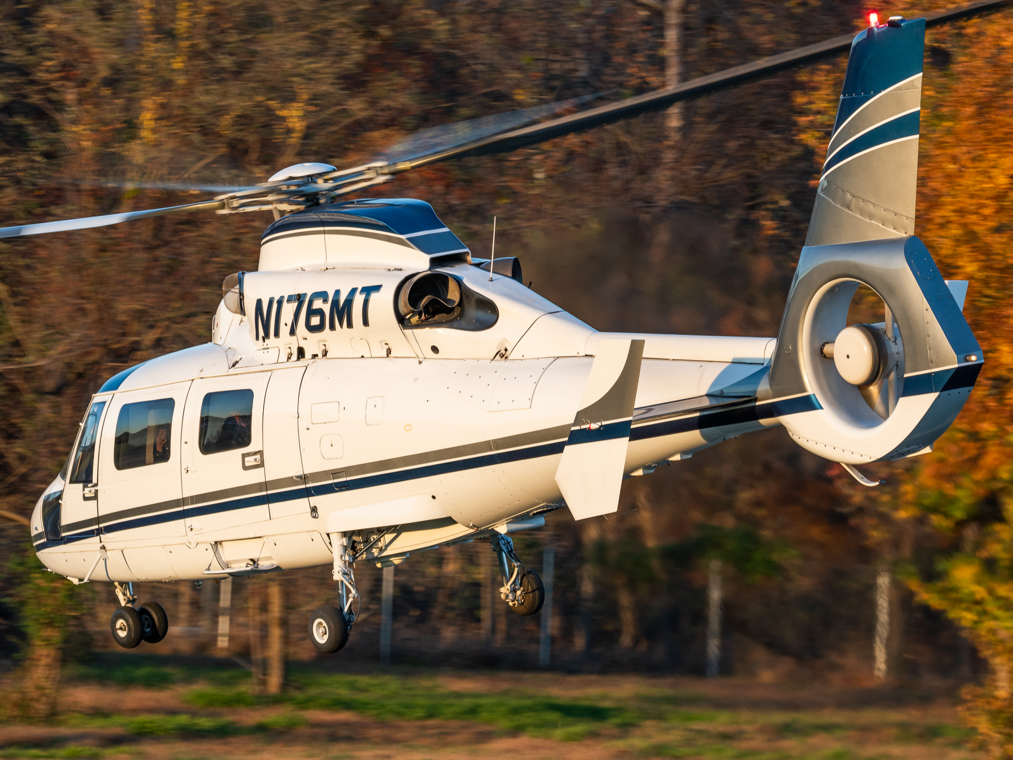 Full size: PRIVATE Airbus AS365 Dauphin N176MT at College Park Airport