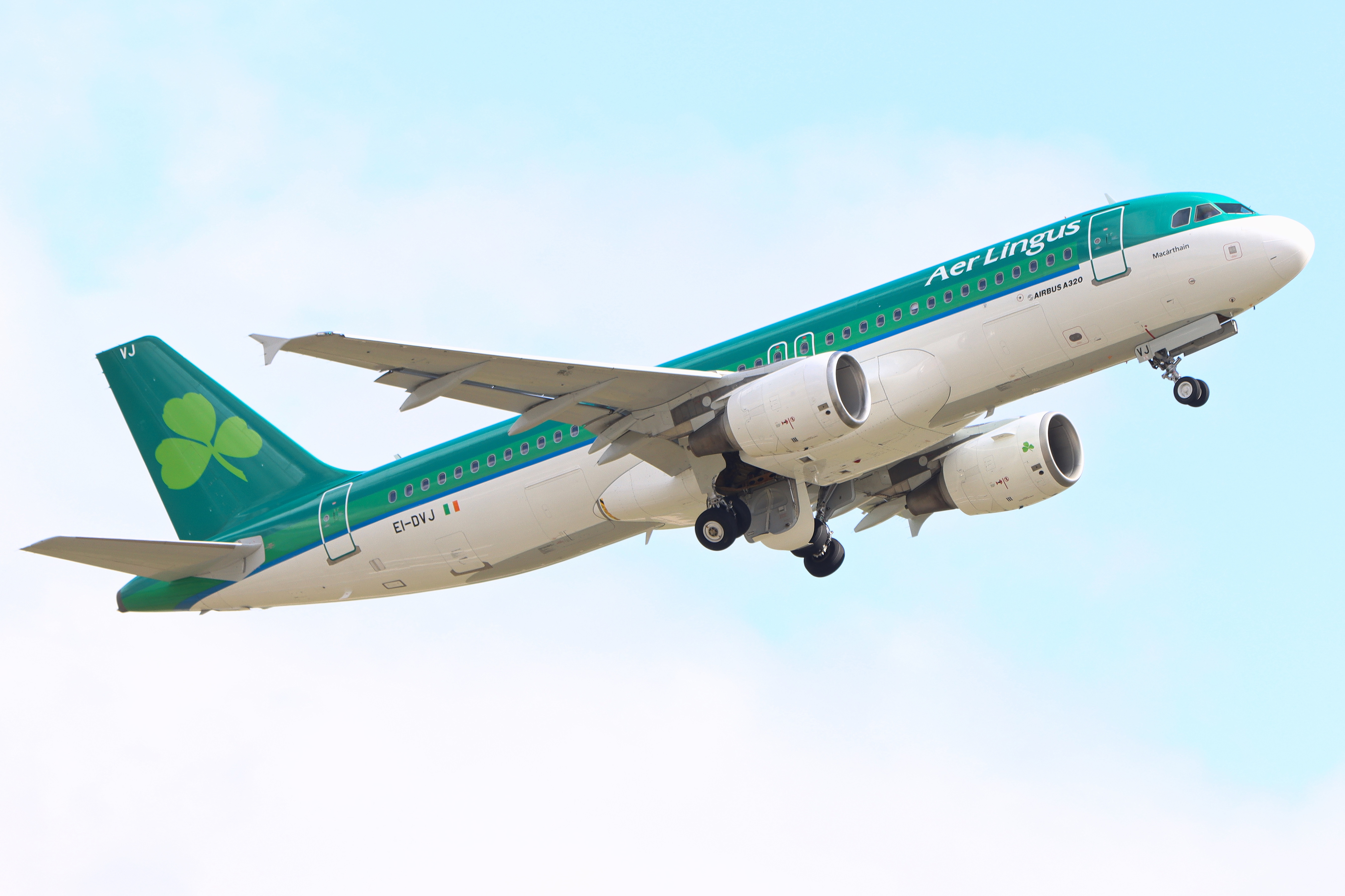 Full size: Aer Lingus Airbus A320 EI-DVJ at Birmingham Airport