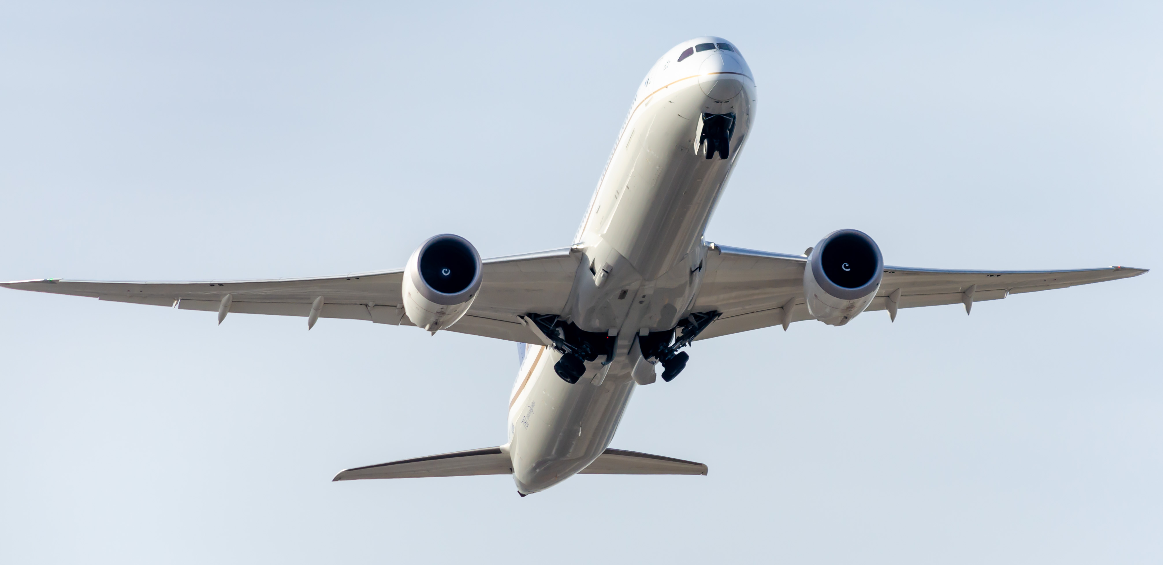 Full size: United Airlines Boeing 787-10 N12006 at Newark Liberty International Airport