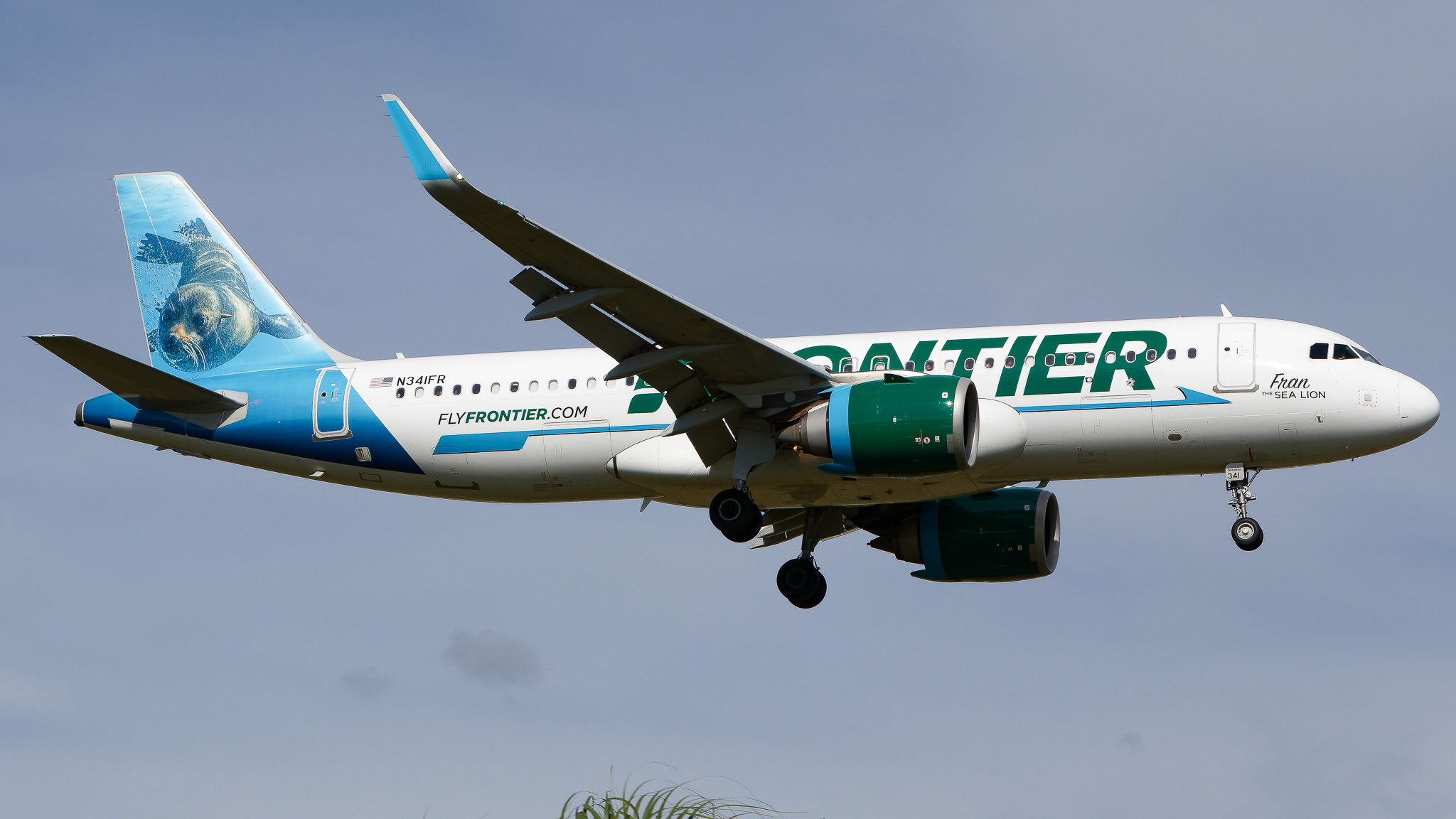 Full size: Frontier Airlines Airbus A320neo N341FR at Tampa International Airport