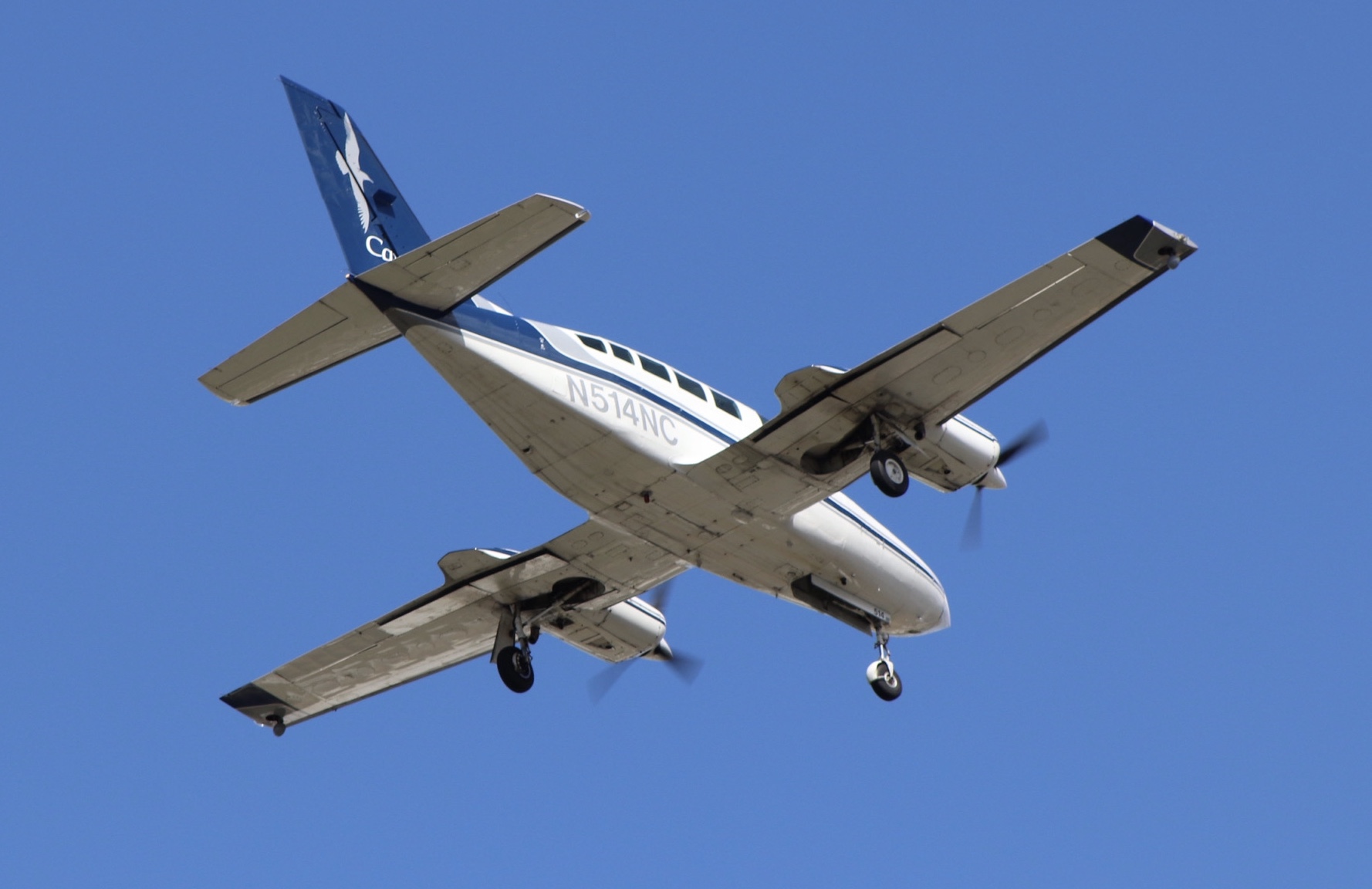 Full size: Cape Air Cessna 402 N514NC at General Edward Lawrence Logan International Airport