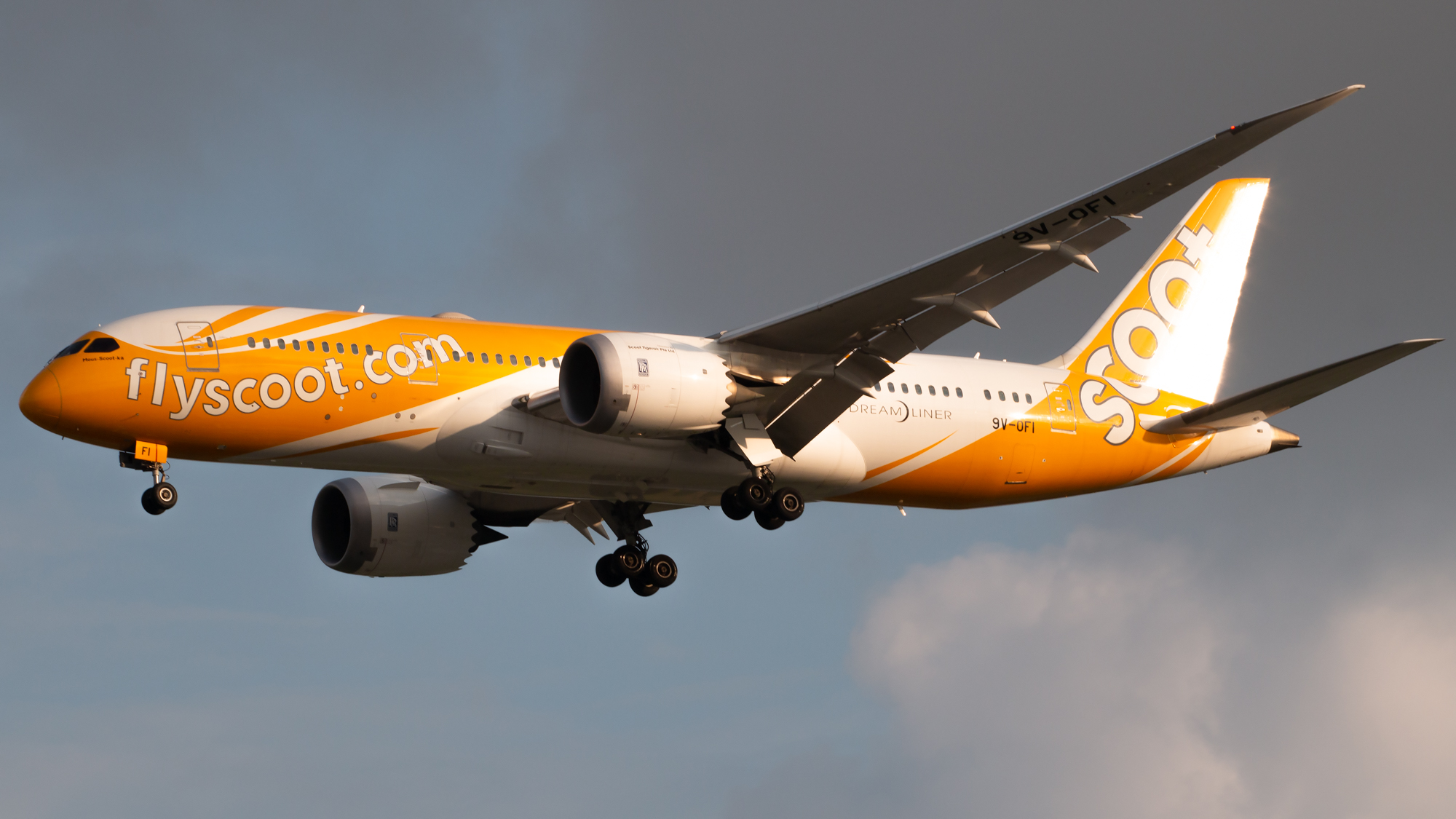 Full size: Scoot Boeing 787-8 9V-OFI at Singapore-Changi Airport