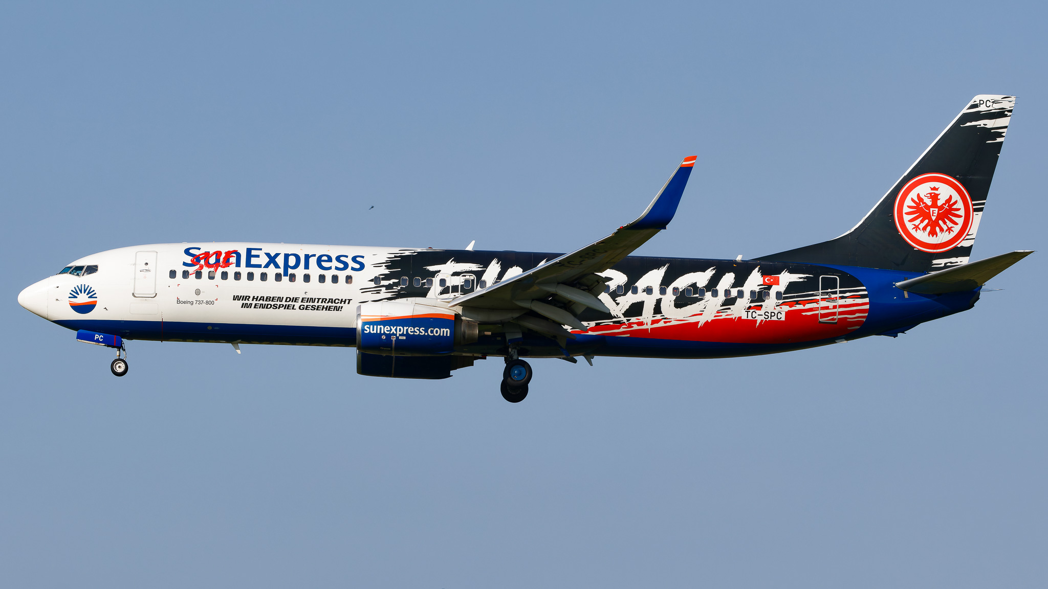 Full size: Sun Express Boeing 737-800 TC-SPC at Zurich-Kloten Airport