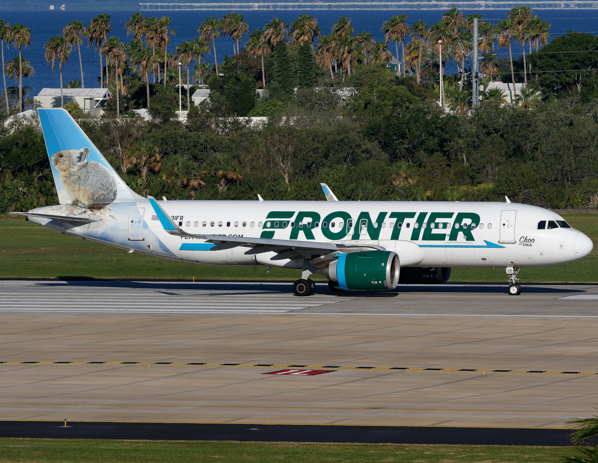 Full size: Frontier Airlines Airbus A320NEO N331FR at Tampa International Airport