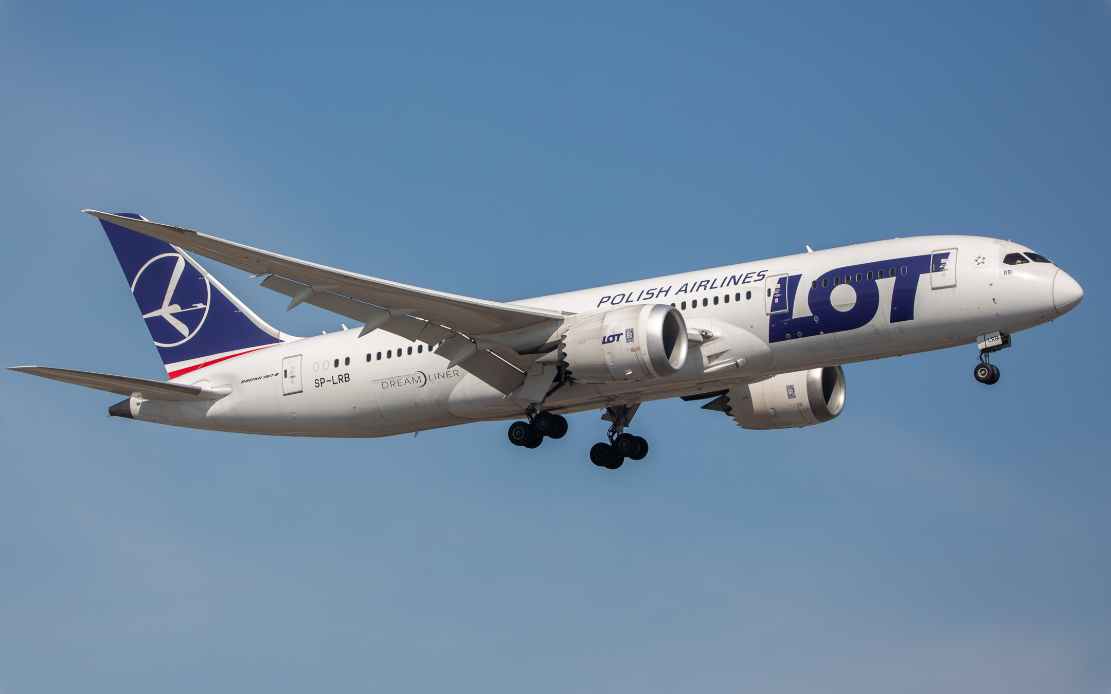 Full size: LOT Polish Airlines Boeing 787-8 SP-LRB at Newark Liberty International Airport