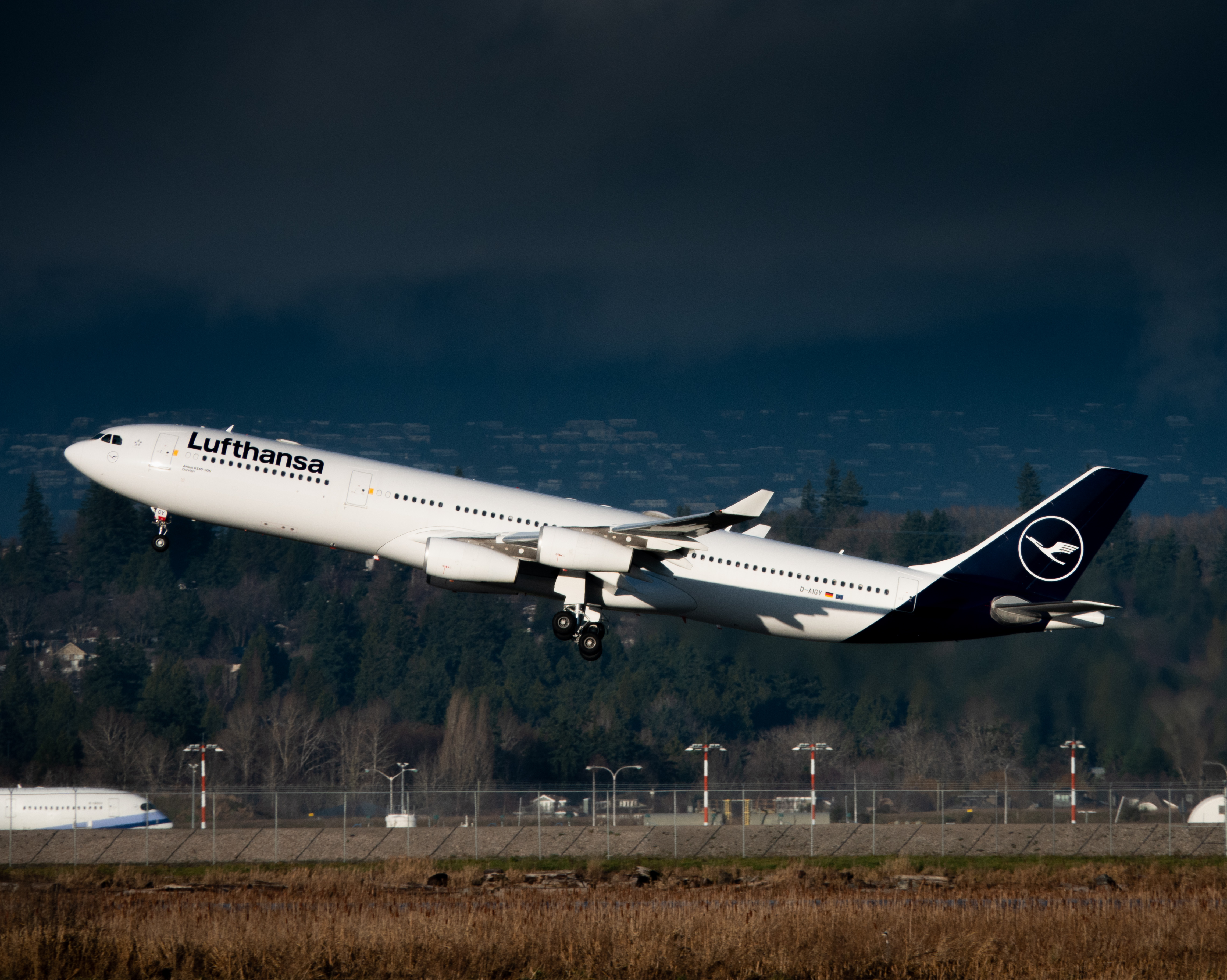 Full size: Lufthansa Airbus A340-300 D-AIGY at Vancouver International Airport