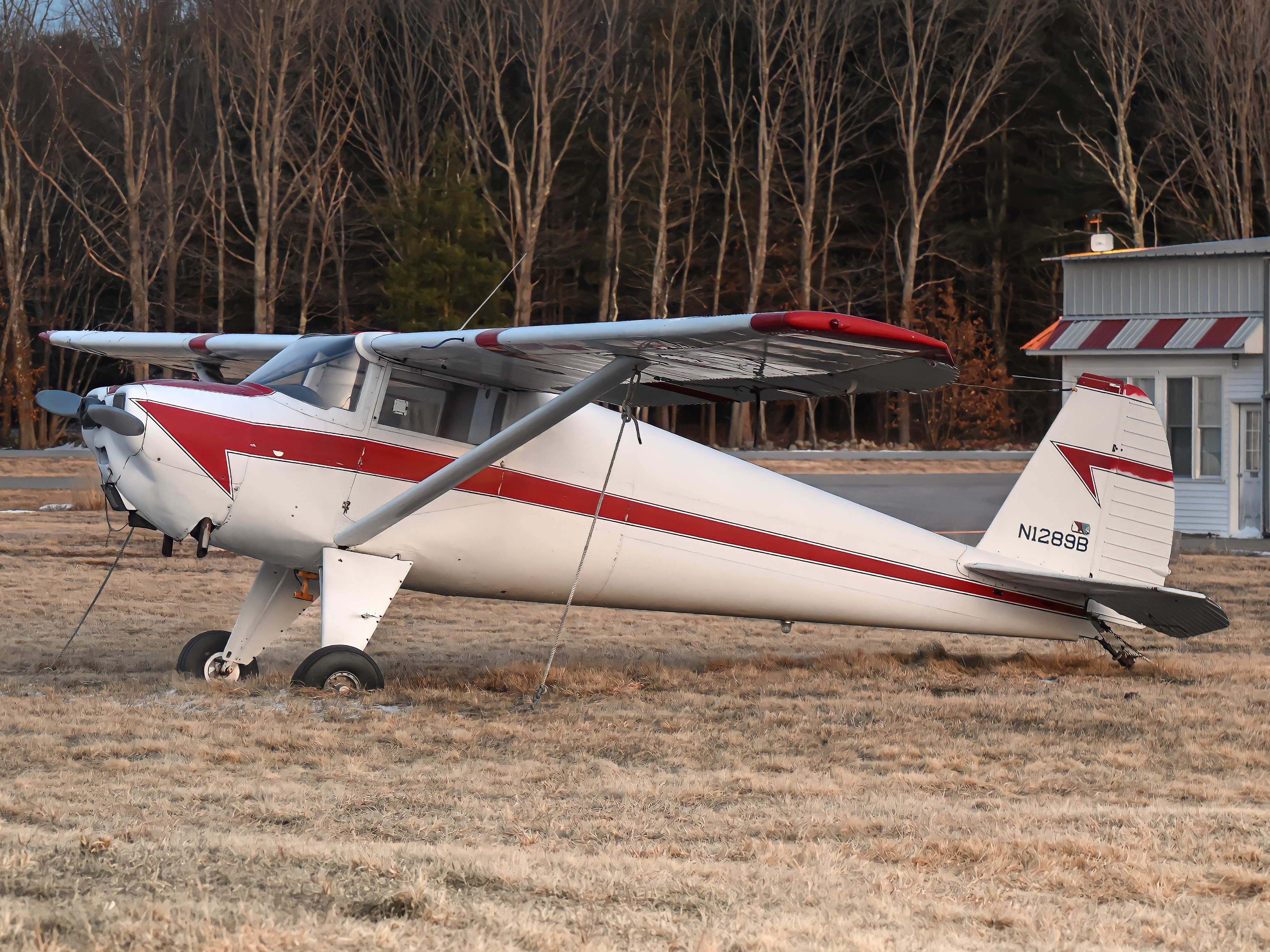 Full size: PRIVATE Luscombe 8E N1289B at 