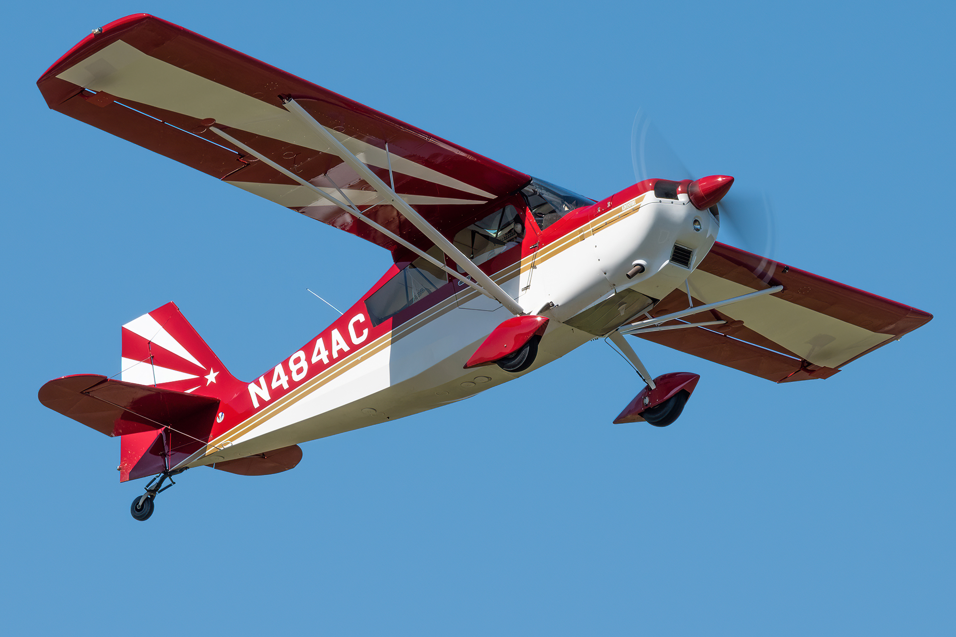 Full size: PRIVATE American Champion Citabria N484AC at College Park Airport