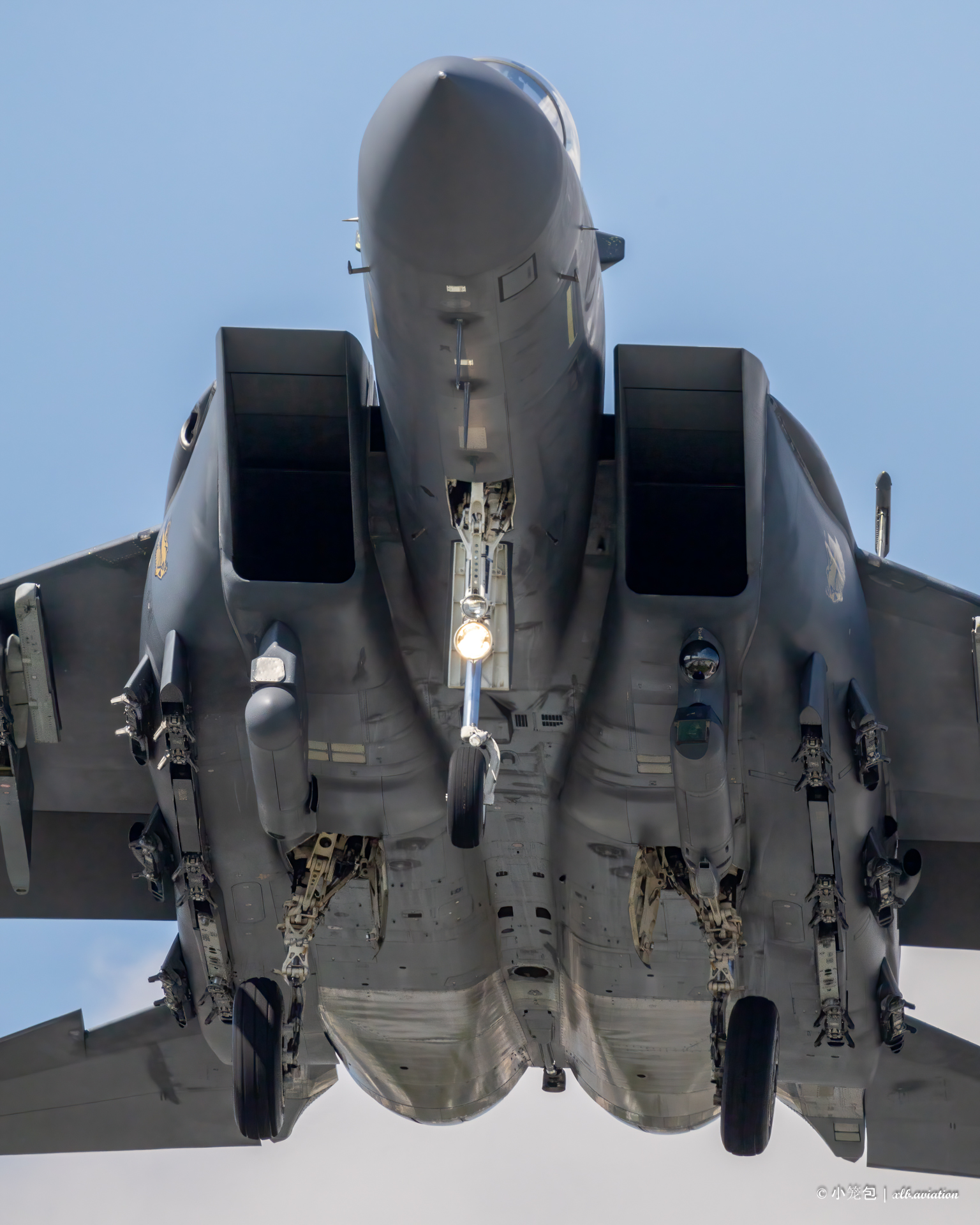 Full size: Republic of Singapore Air Force McDonnell Douglas F-15 Eagle 8315 at Paya Lebar AB
