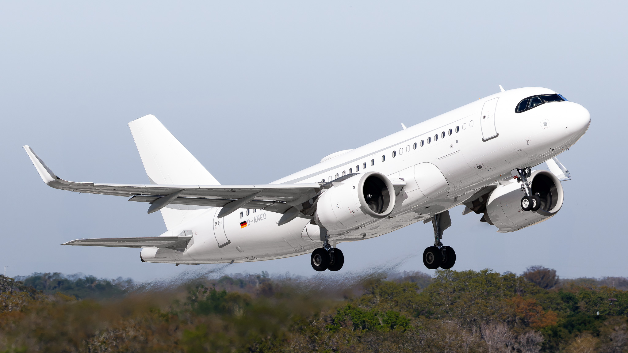 Full size: K5 Aviation Airbus A319NEO D-ANEO at Tampa International Airport