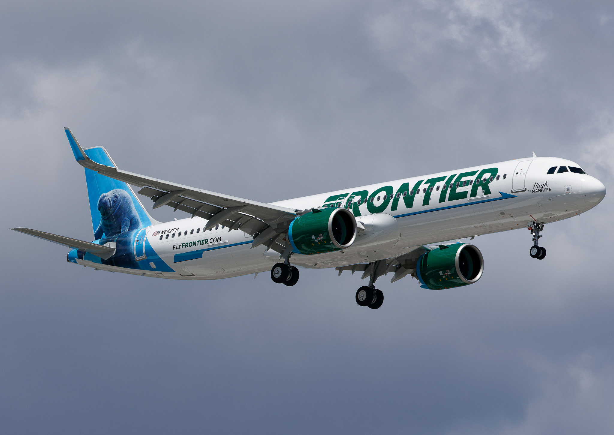 Full size: Frontier Airlines Airbus A321NEO N642FR at Tampa International Airport
