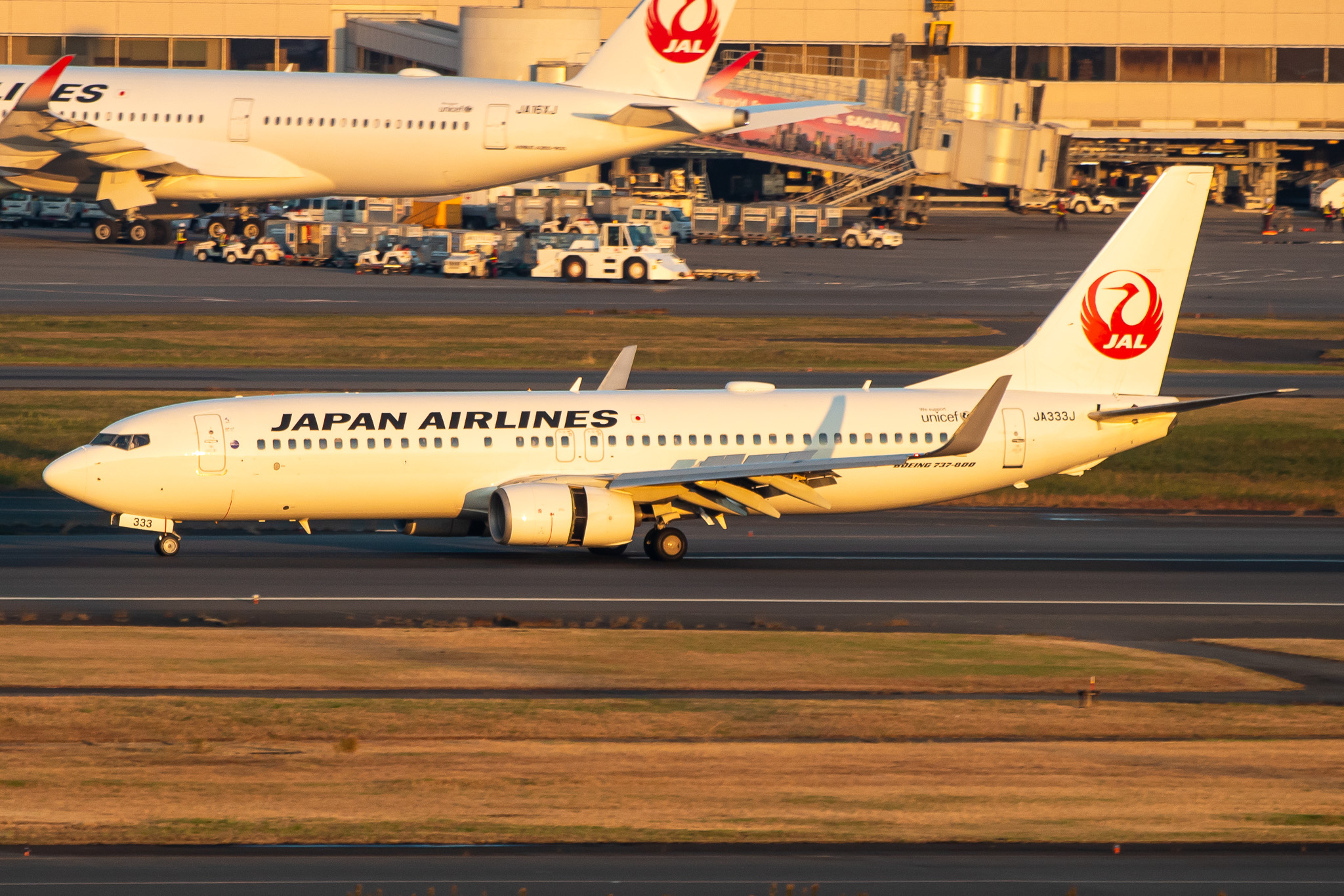 Full size: Japan Airlines Boeing 737-800 JA333J at Tokyo-Haneda Airport