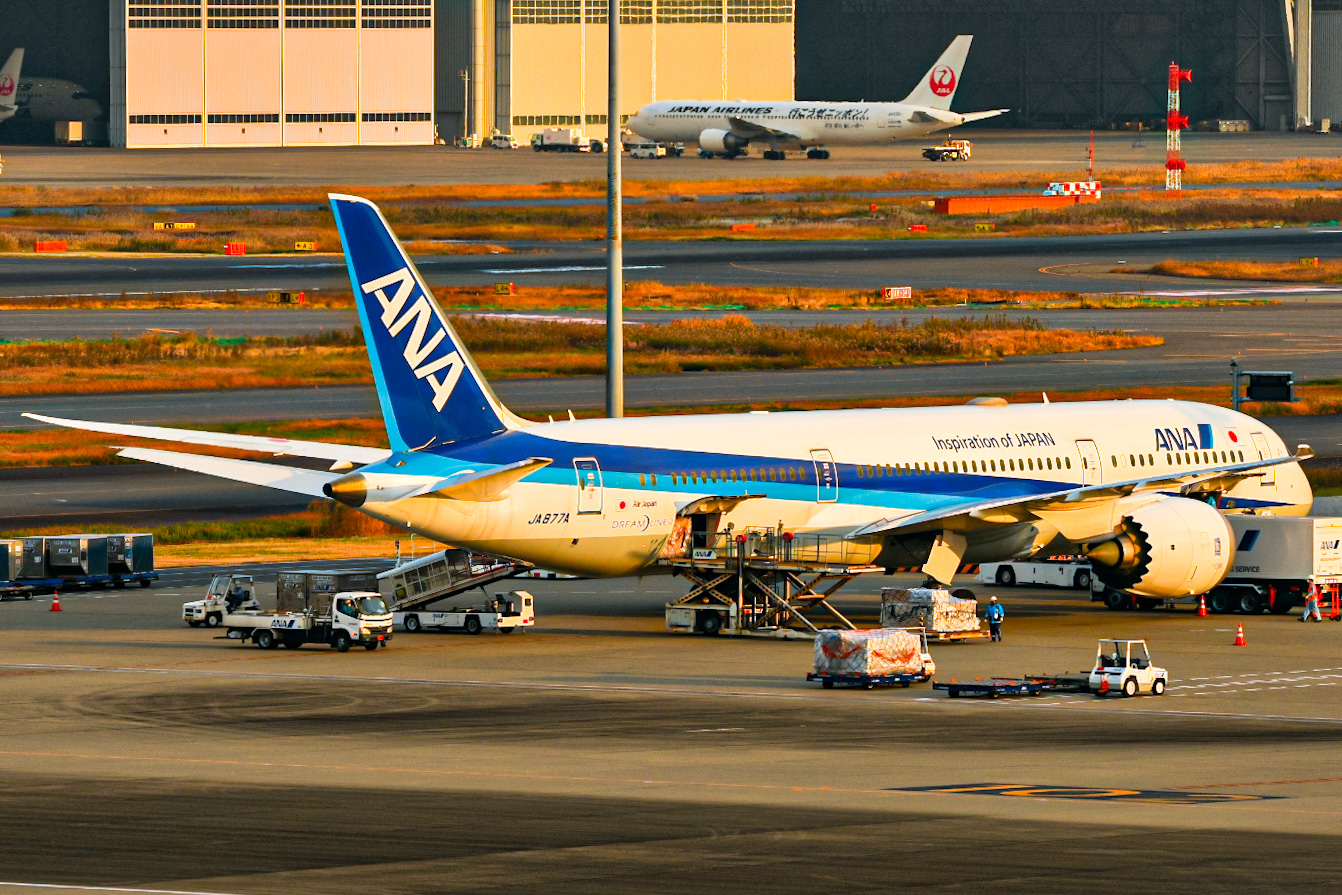 Full size: All Nippon Airways Boeing 787-9 JA877A at Tokyo-Haneda Airport