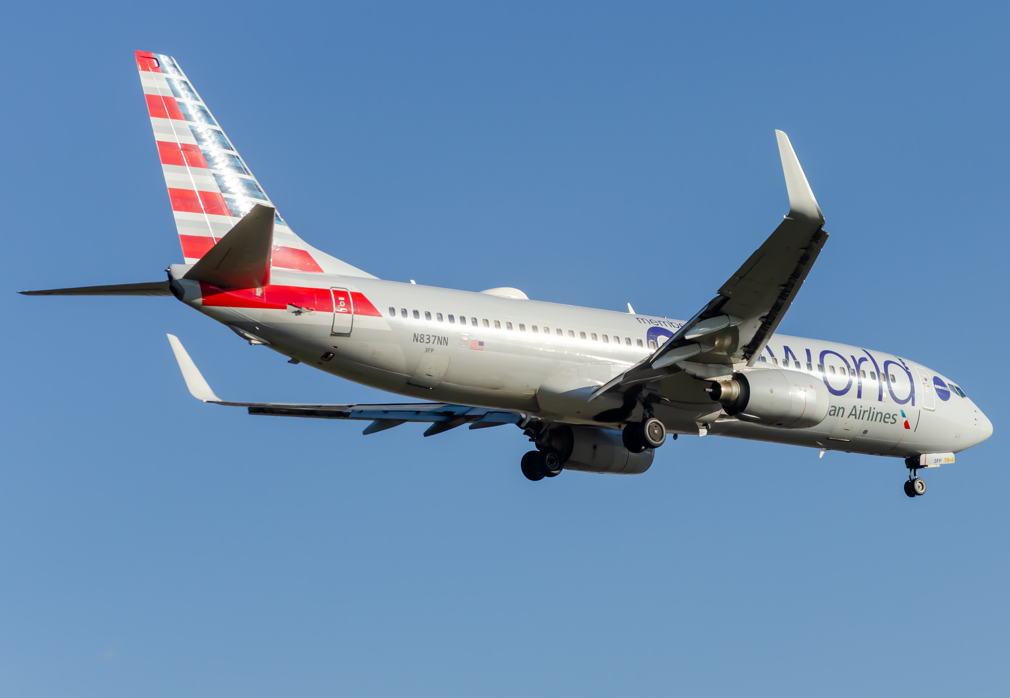 Full size: American Airlines Boeing 737-800 N837NN at Newark Liberty International Airport