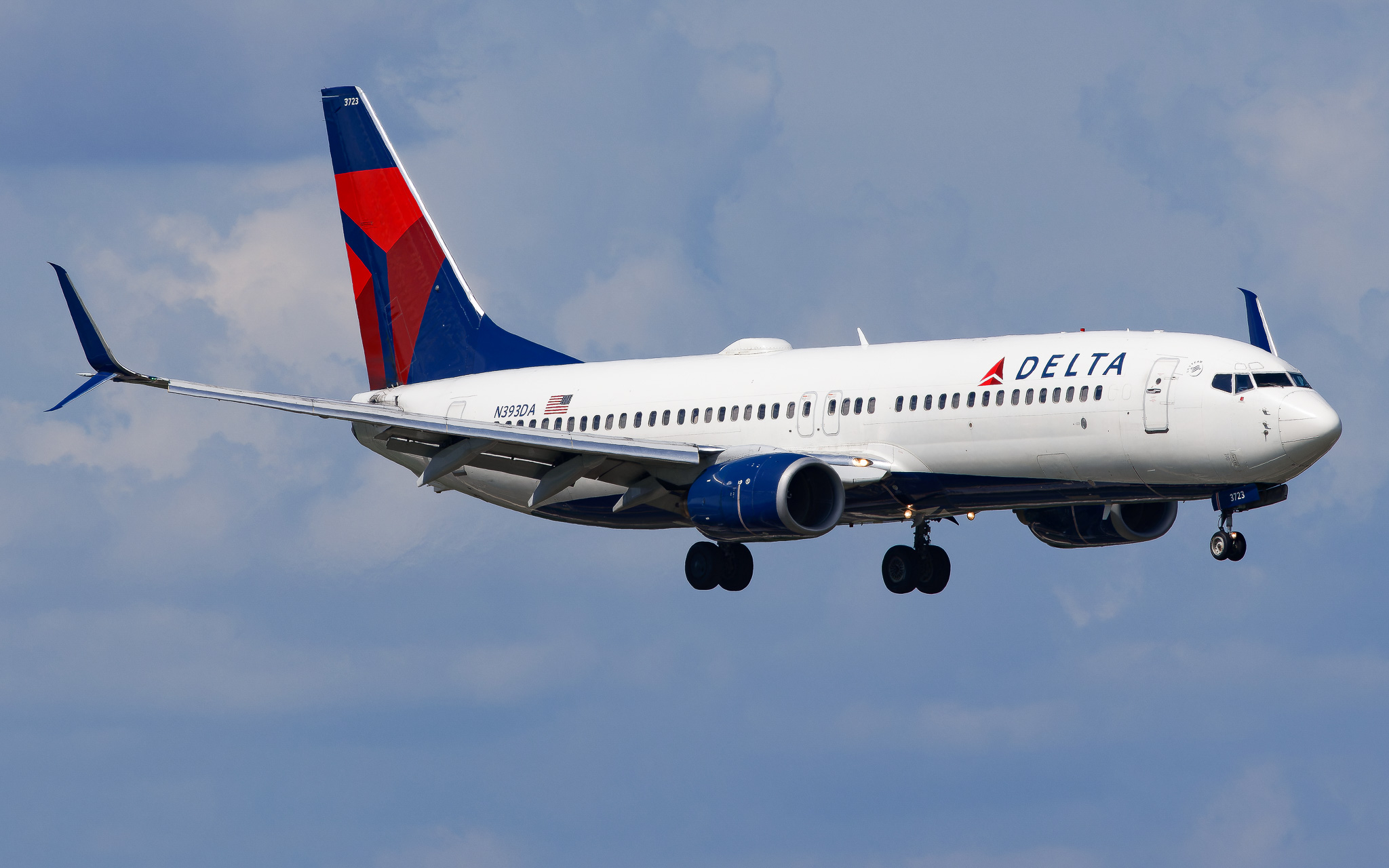 Full size: Delta Airlines Boeing 737-800 N393DA at Tampa International Airport