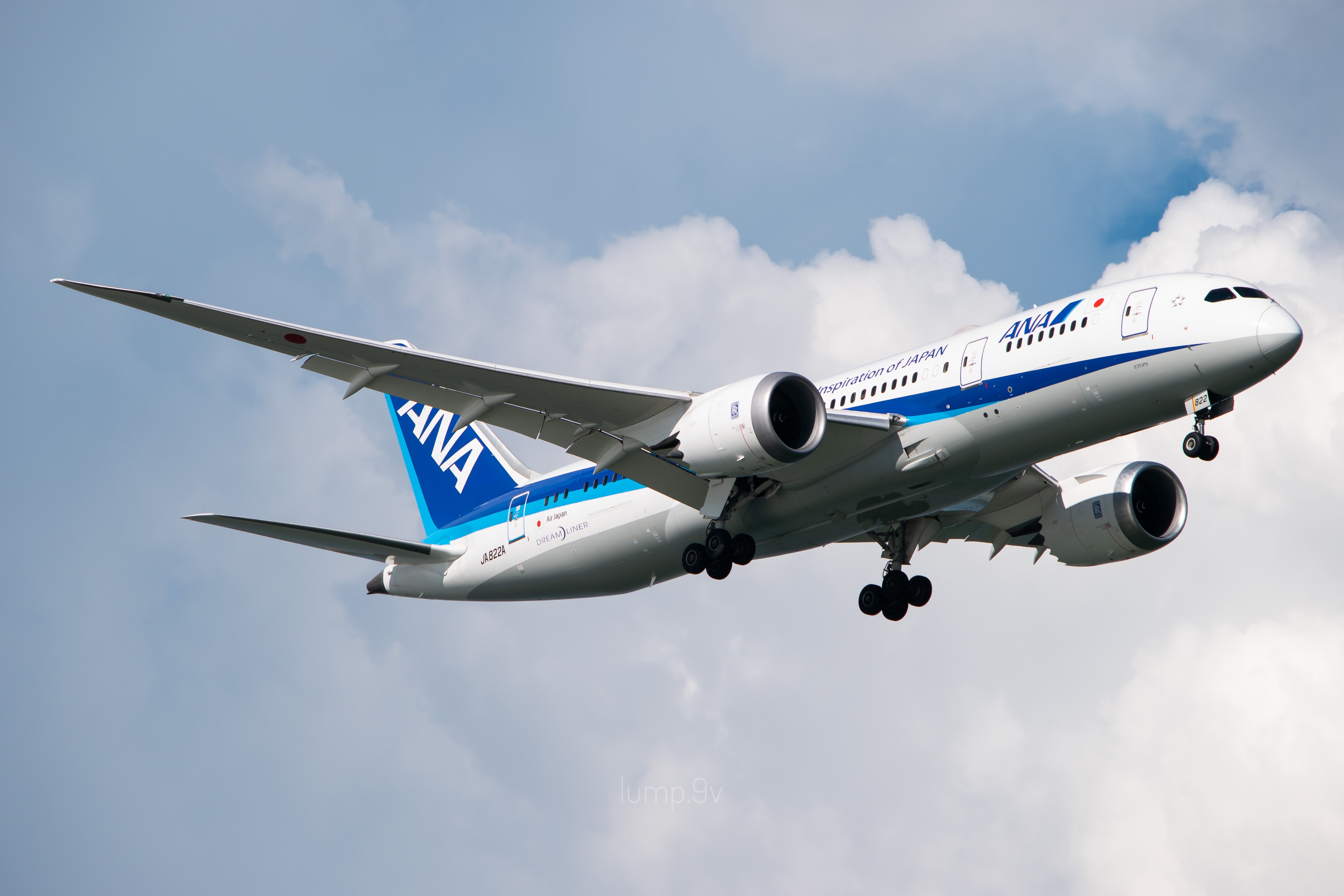 Full size: All Nippon Airways B787-8 JA822A at Singapore-Changi Airport