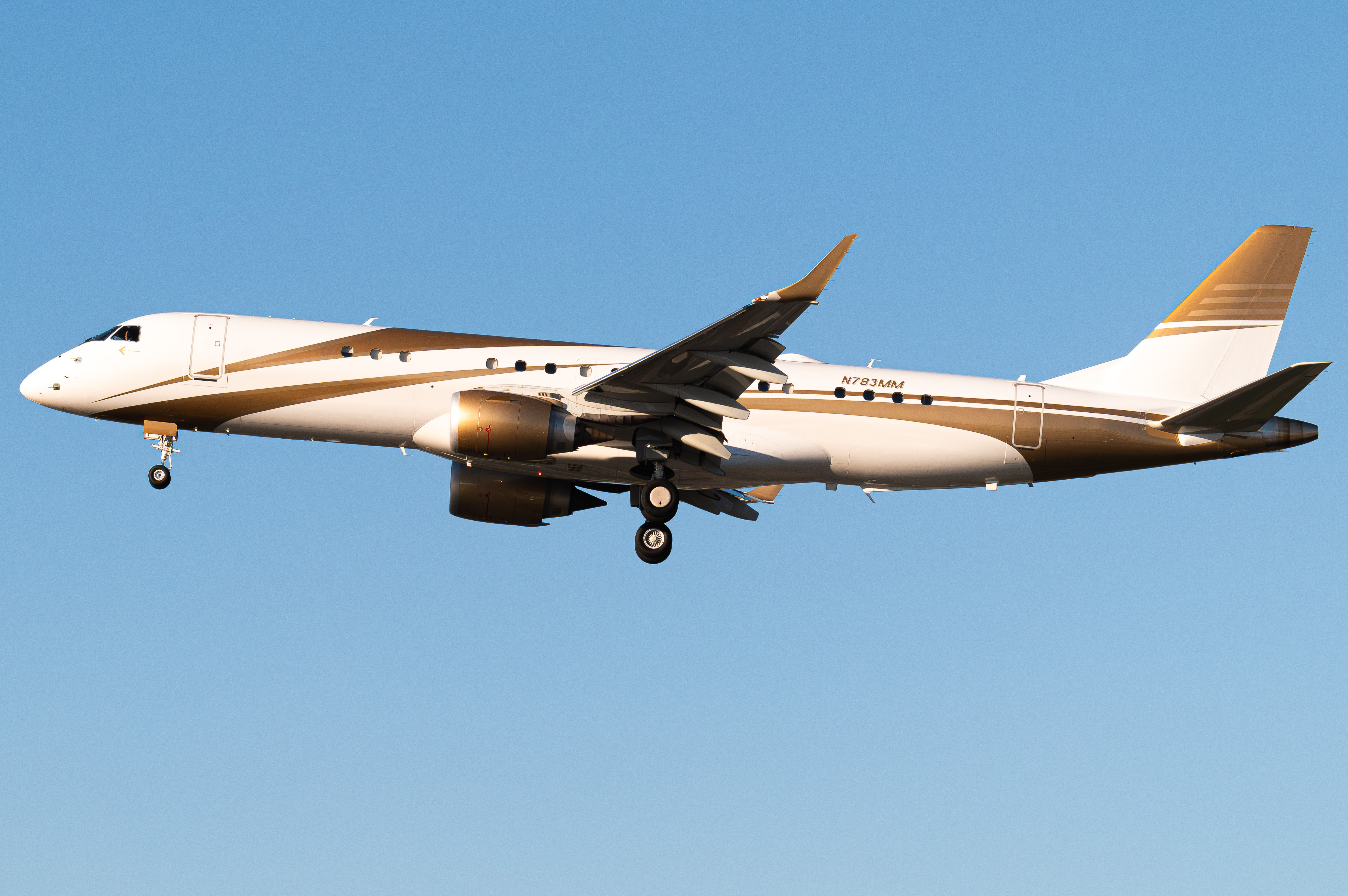 Full size: PRIVATE Embraer E190 N783MM at Los Angeles International Airport