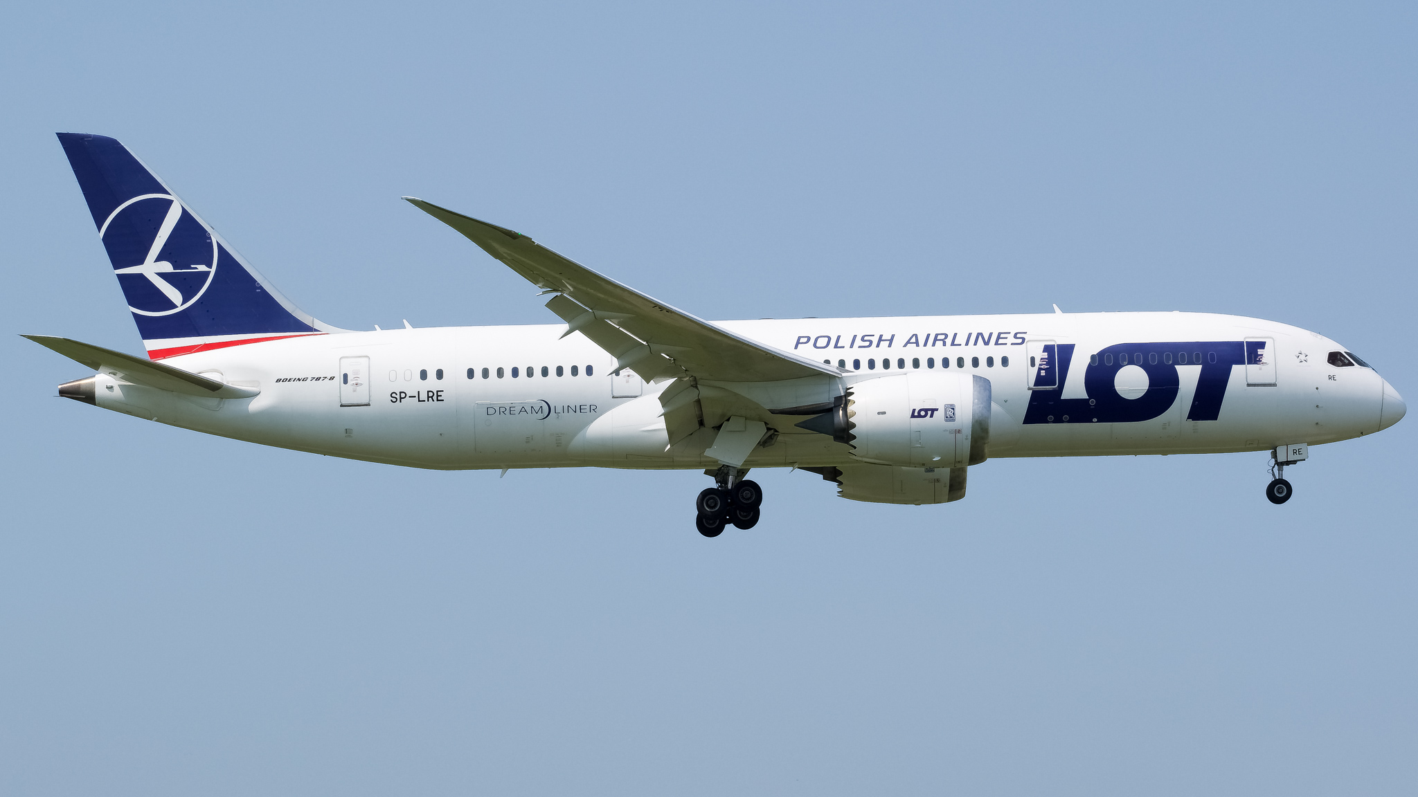Full size: LOT Polish Airlines Boeing 787-8 SP-LRE at Chicago O'Hare International Airport
