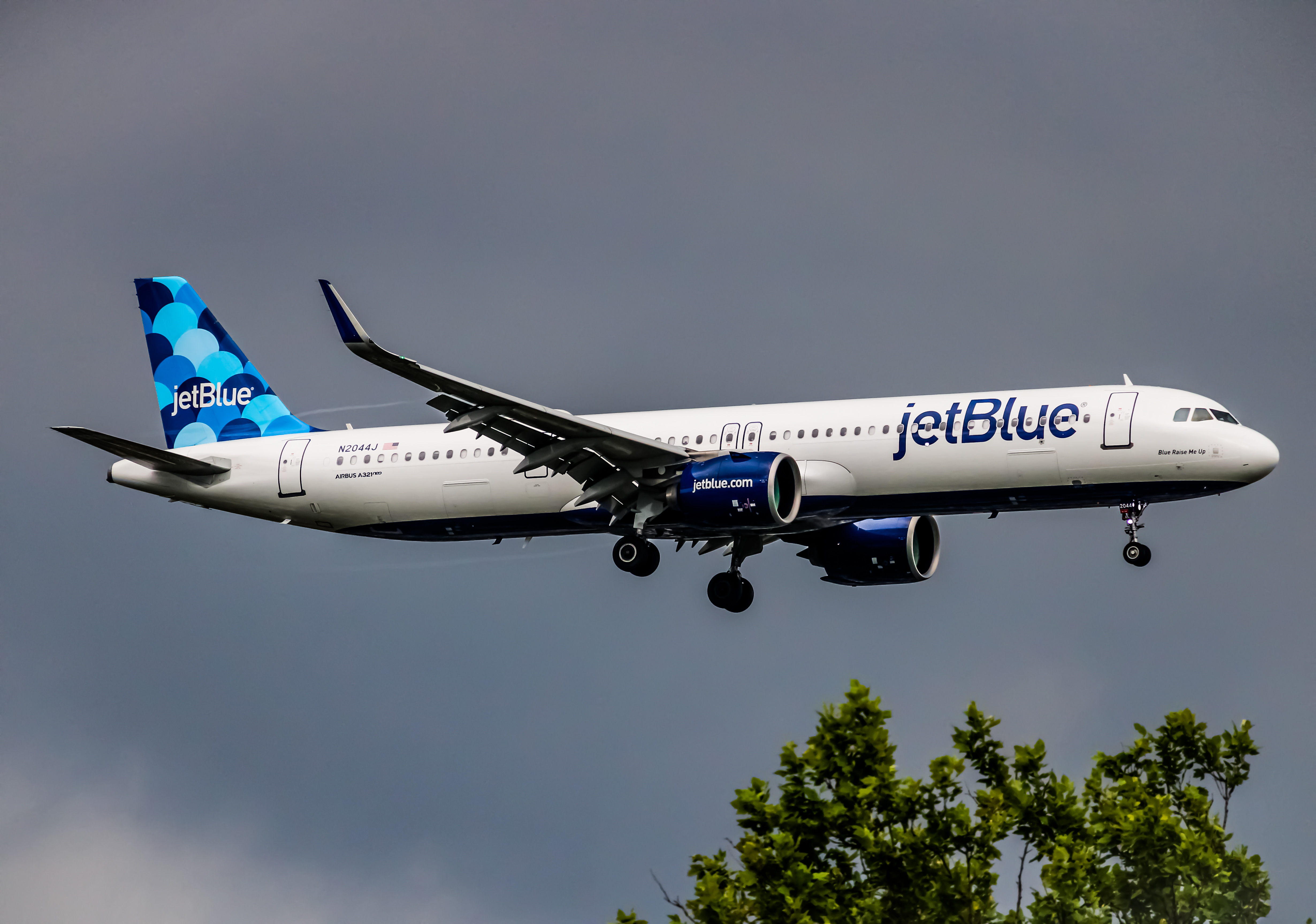 Full size: JetBlue Airways Airbus A321NEO N2044J at John F. Kennedy International Airport