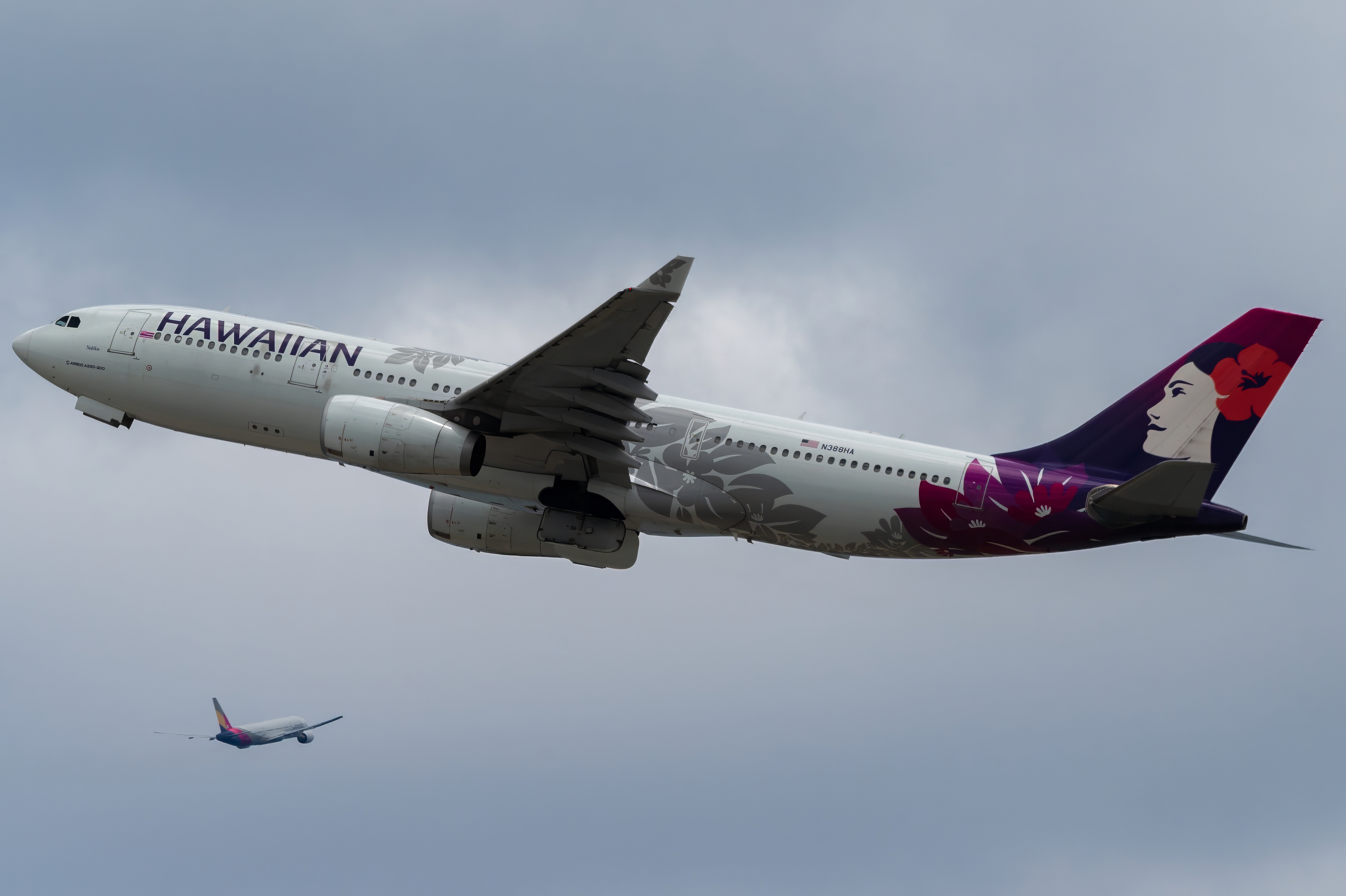Full size: Hawaiian Airlines Airbus A330-200 N388HA at Daniel K Inouye International Airport