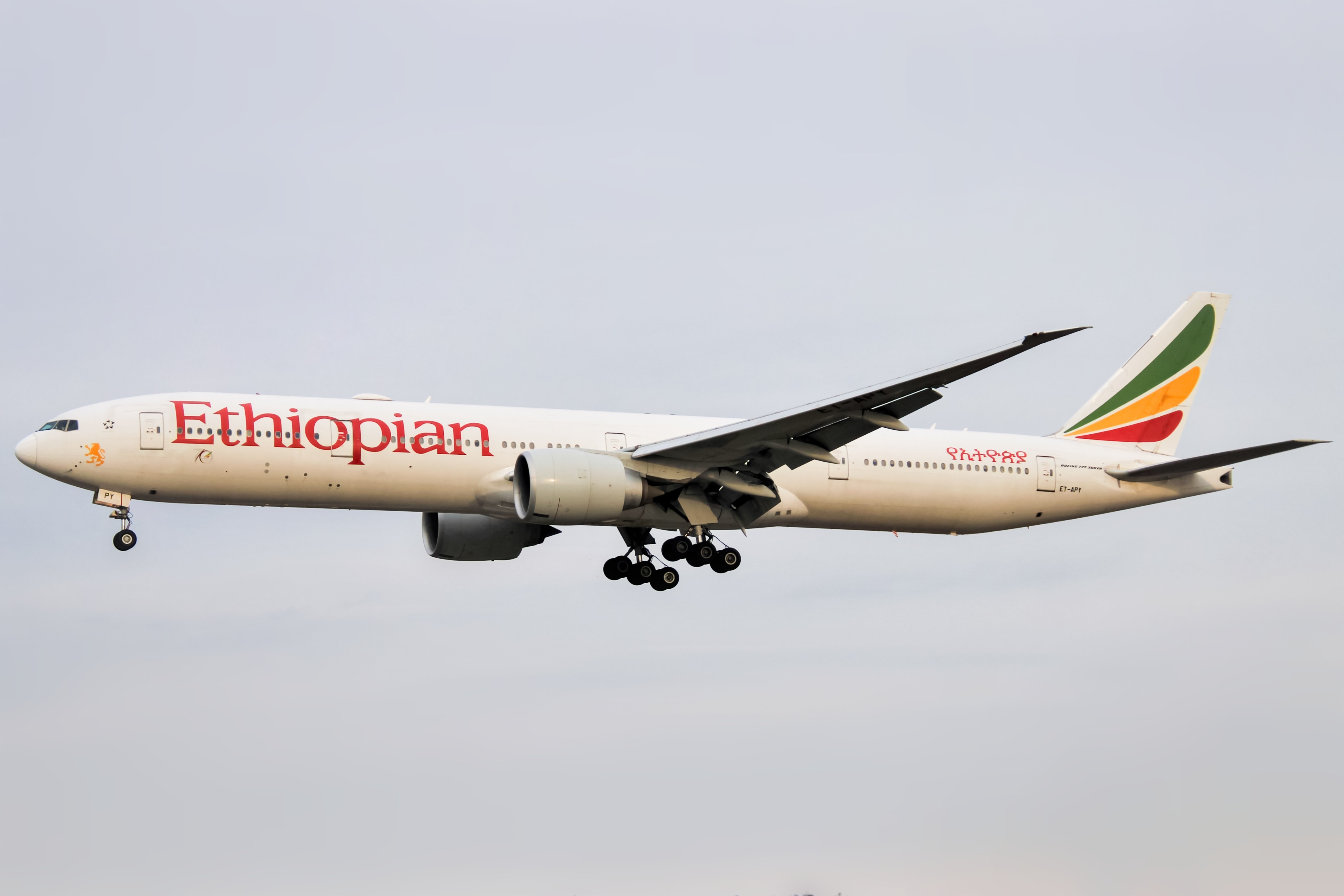 Full size: Ethiopian Airlines Boeing 777-300ER ET-APY at Baltimore/Washington International Thurgood Marshall Airport