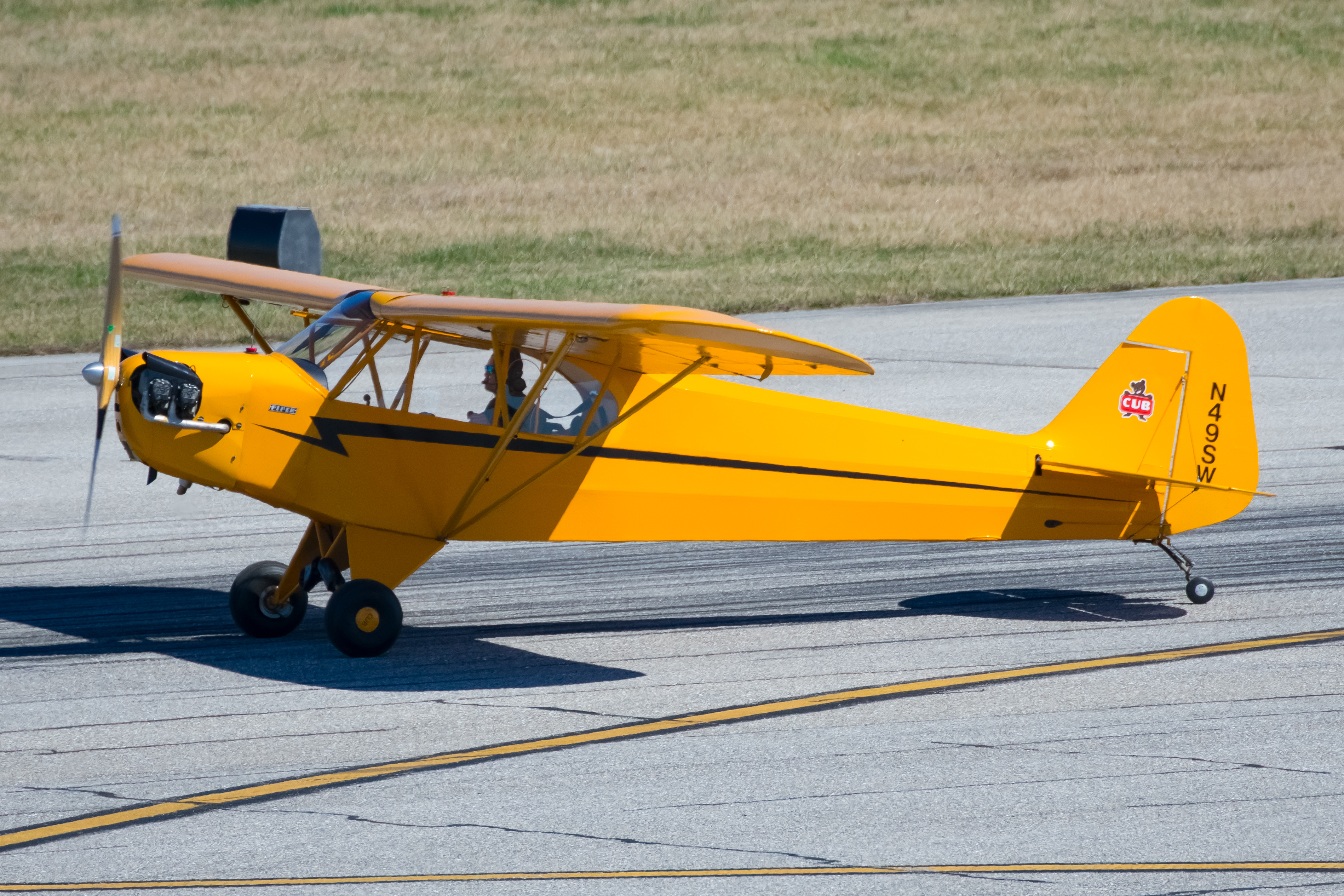 Full size: PRIVATE Piper Cub N49SW at Martin State Airport