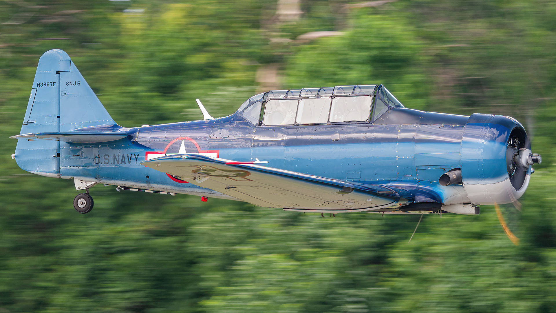 Full size: PRIVATE North American SNJ-5 Texan N3687F at College Park Airport