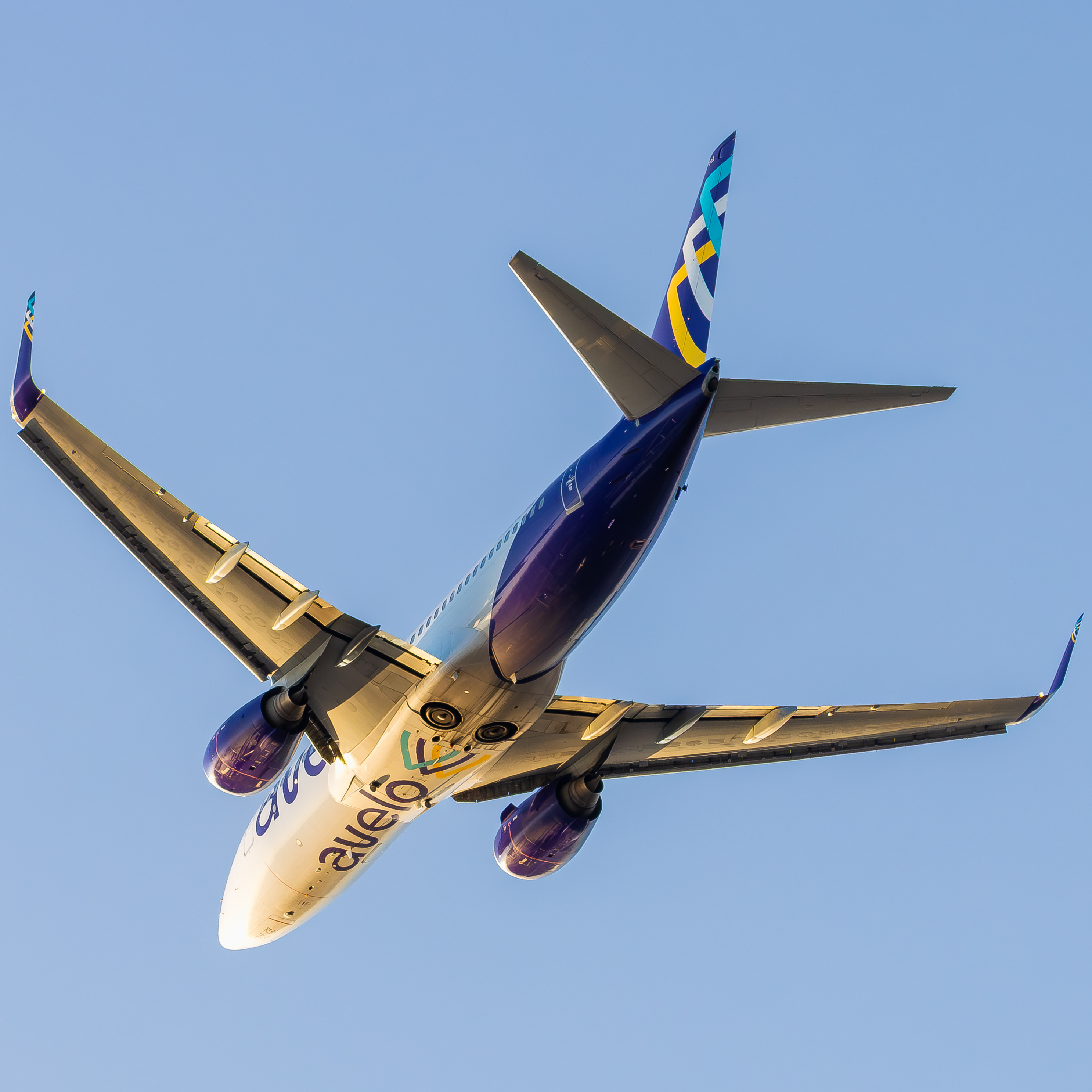 Full size: Avelo Airlines Boeing 737-700 N702VL at Roberts Field Airport