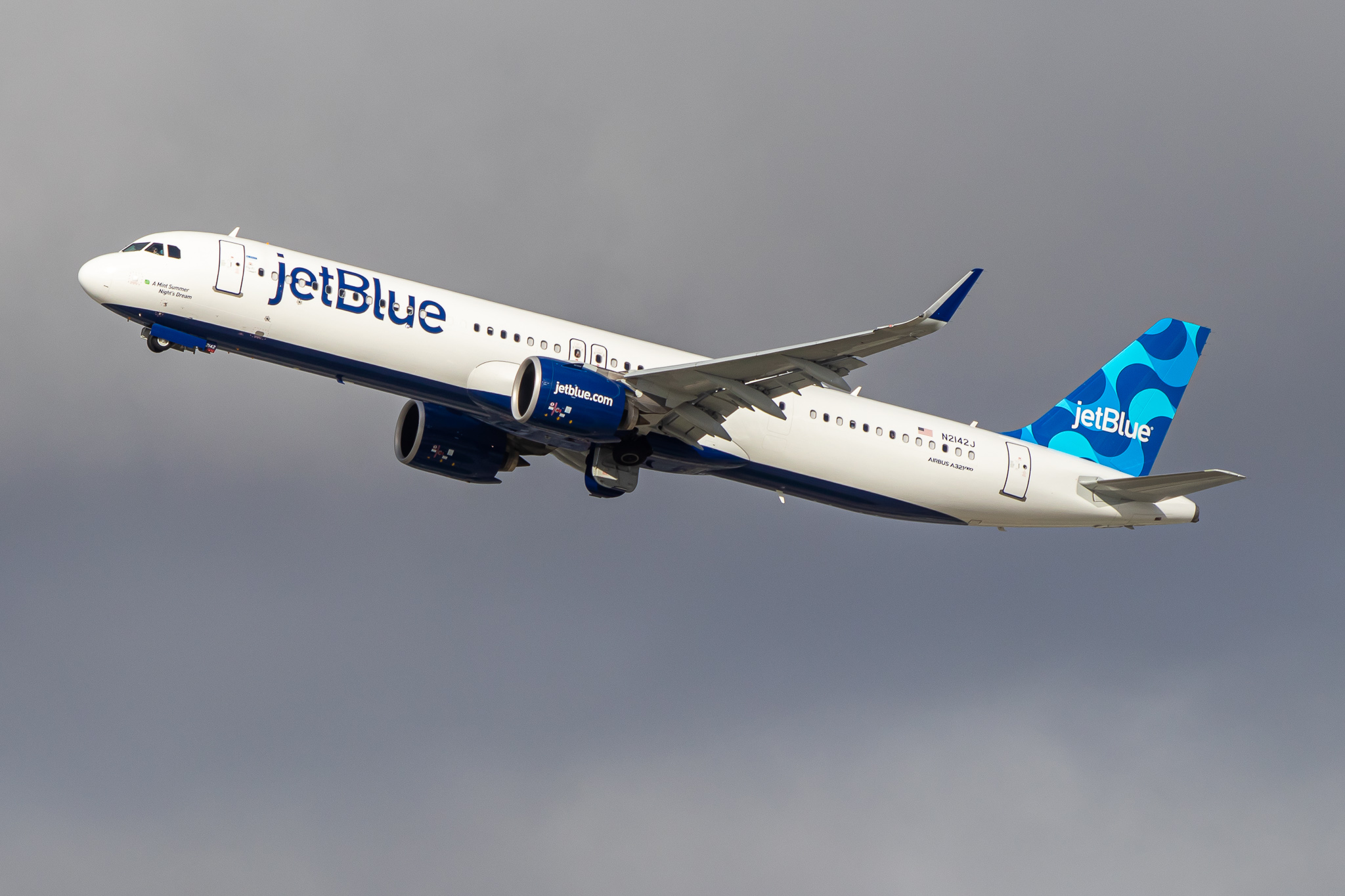 Full size: JetBlue Airways Airbus A321NEO N2142J at Los Angeles International Airport