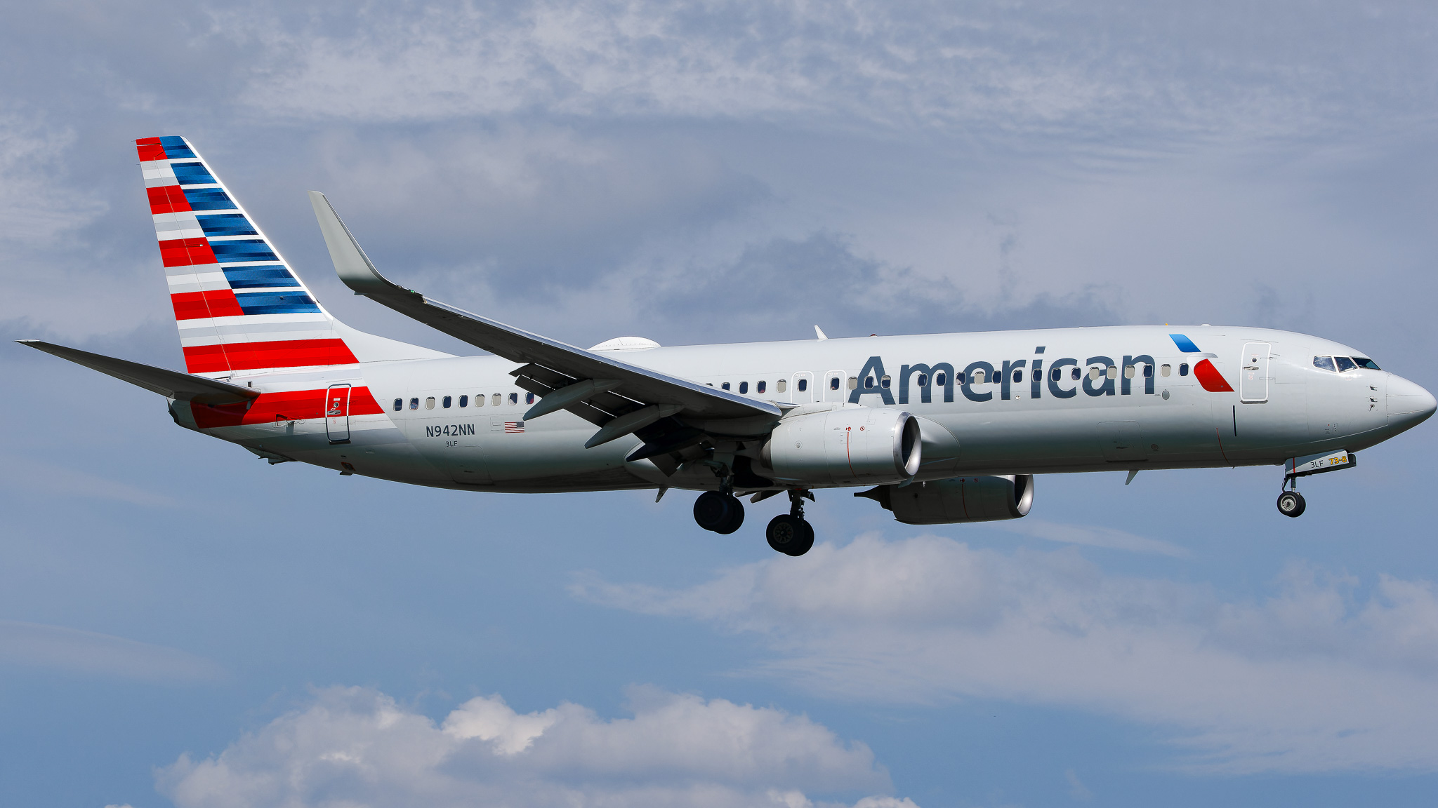 Full size: American Airlines Boeing 737-800 N942NN at Tampa International Airport