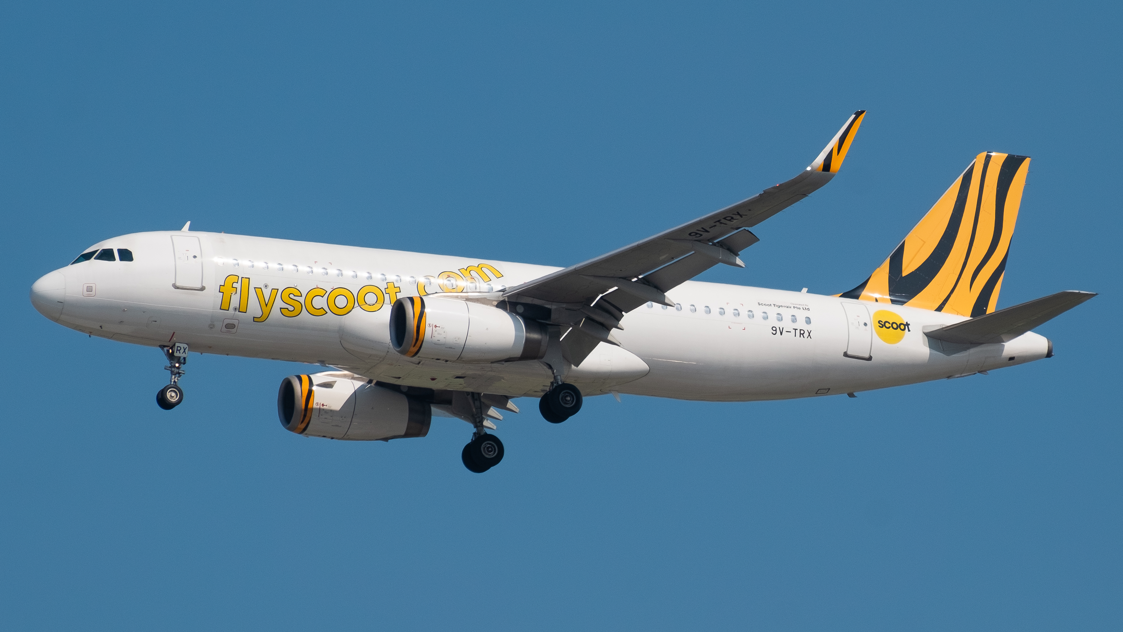 Full size: Scoot Airbus A320 9V-TRX at Singapore-Changi Airport