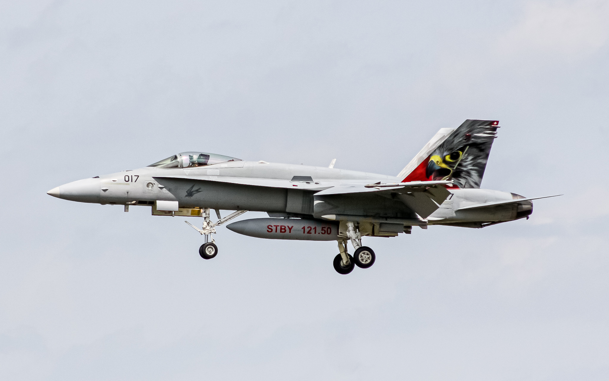 Full size: Swiss Air Force McDonnel Douglas F/A-18 Hornet J-5017 at Fribourg Ecuvillens Airport