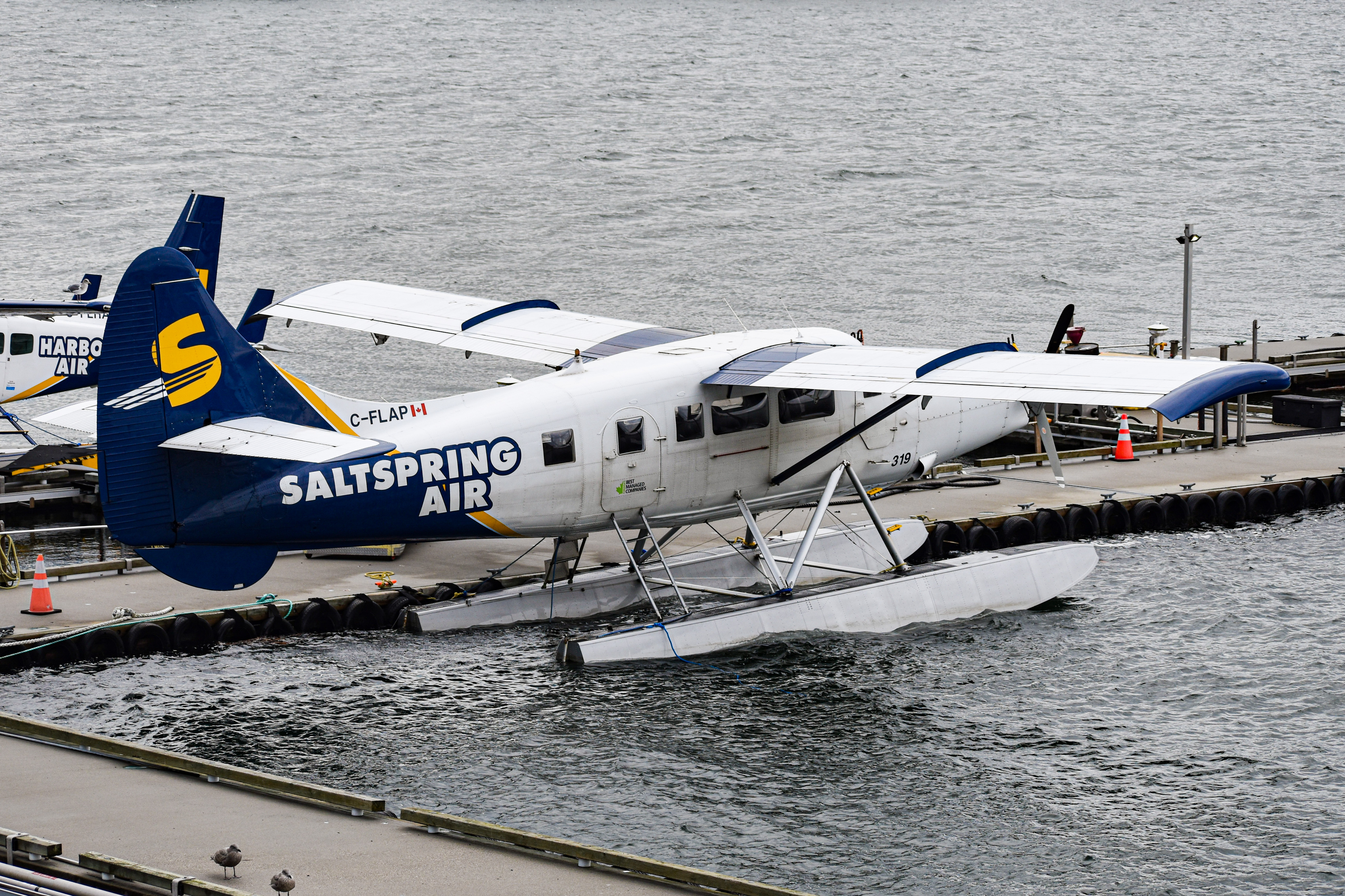 Full size: Saltspring Air De Havilland DHC-3 C-FLAP at Vancouver Harbour Water Airport