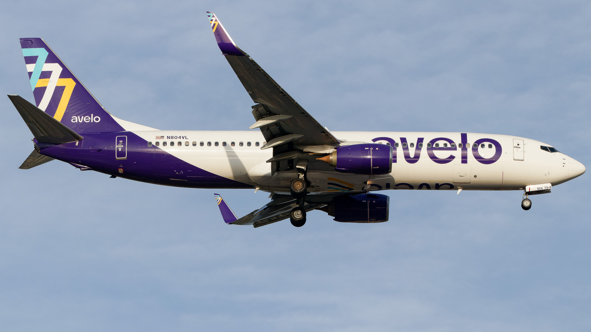 Full size: Avelo Airlines Boeing 737-800 N804VL at Tampa International Airport