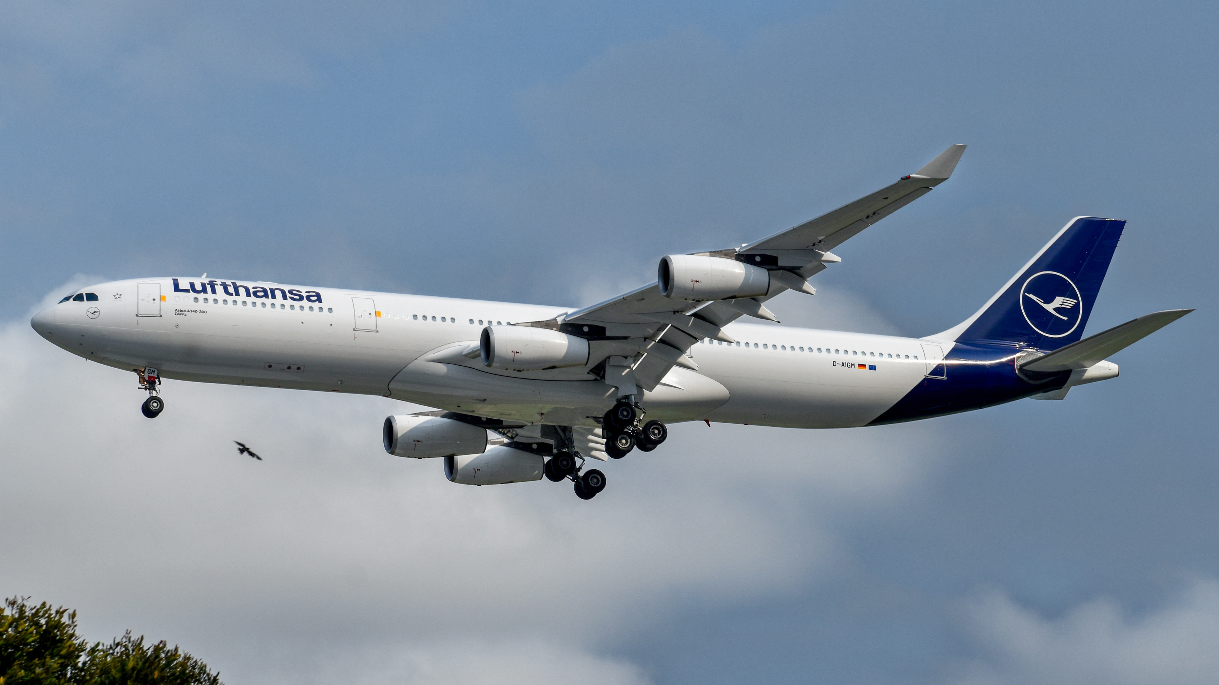 Full size: Lufthansa Airbus A340-300 D-AIGM at Singapore-Changi Airport