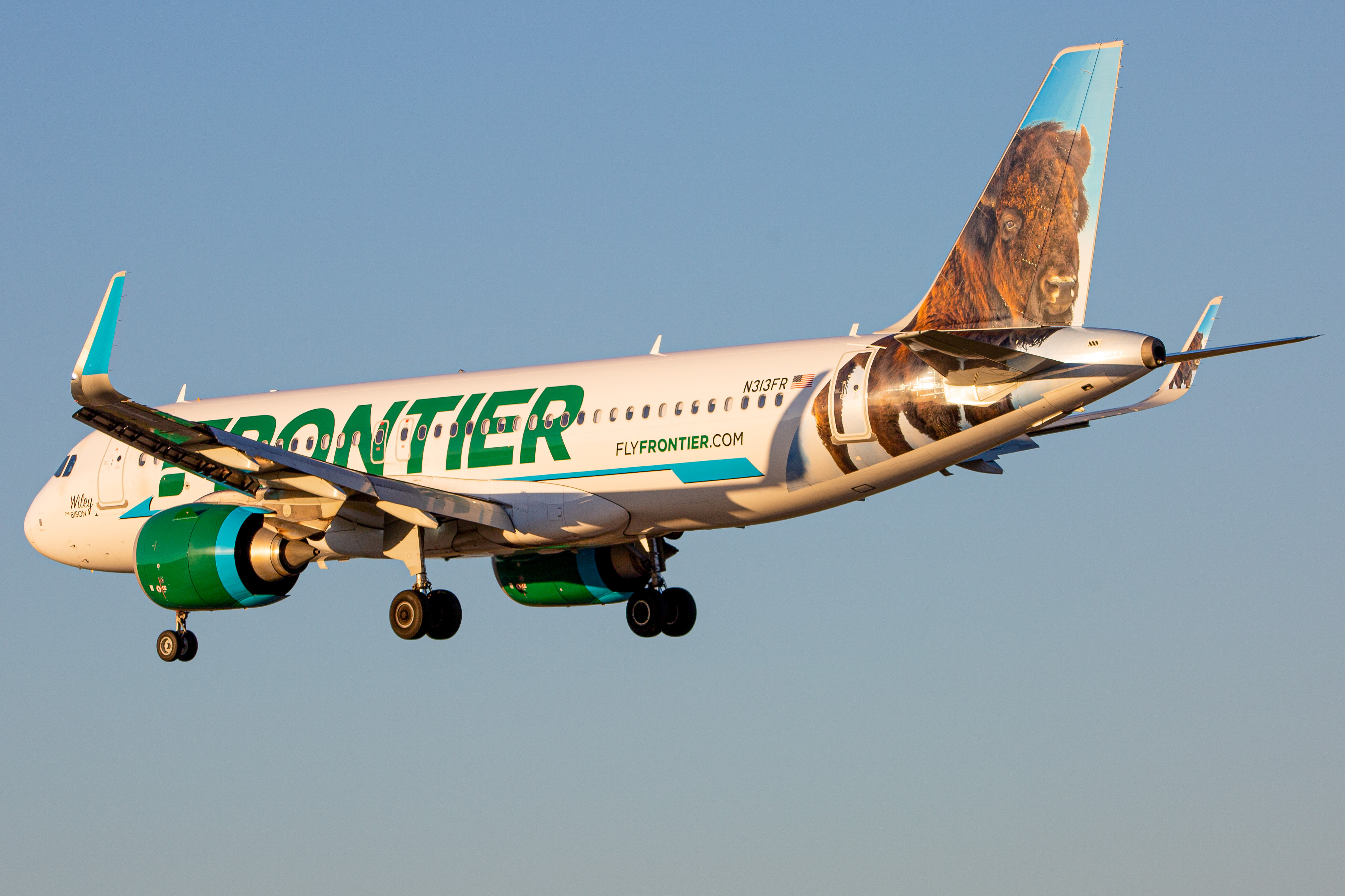 Full size: Frontier Airlines Airbus A320NEO N313FR at Baltimore/Washington International Thurgood Marshall Airport