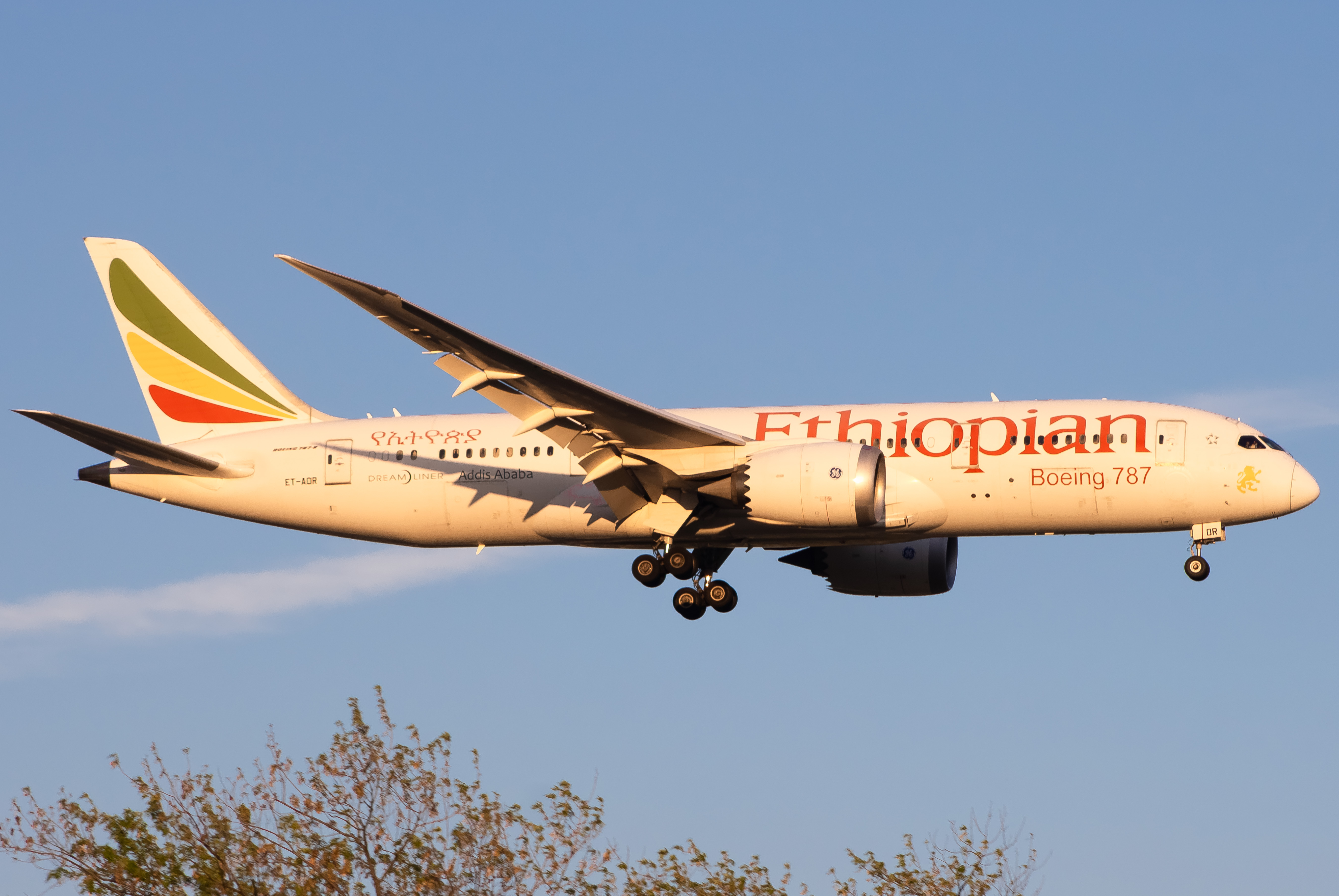 Full size: Ethiopian Airlines Boeing 787-8 ET-AOR at John F. Kennedy International Airport