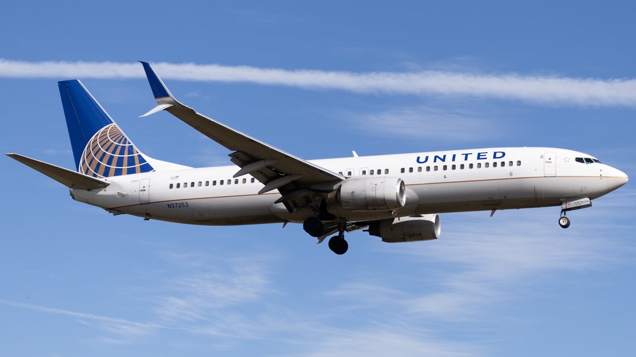 Full size: United Airlines Boeing 737-800 N37253 at Tampa International Airport