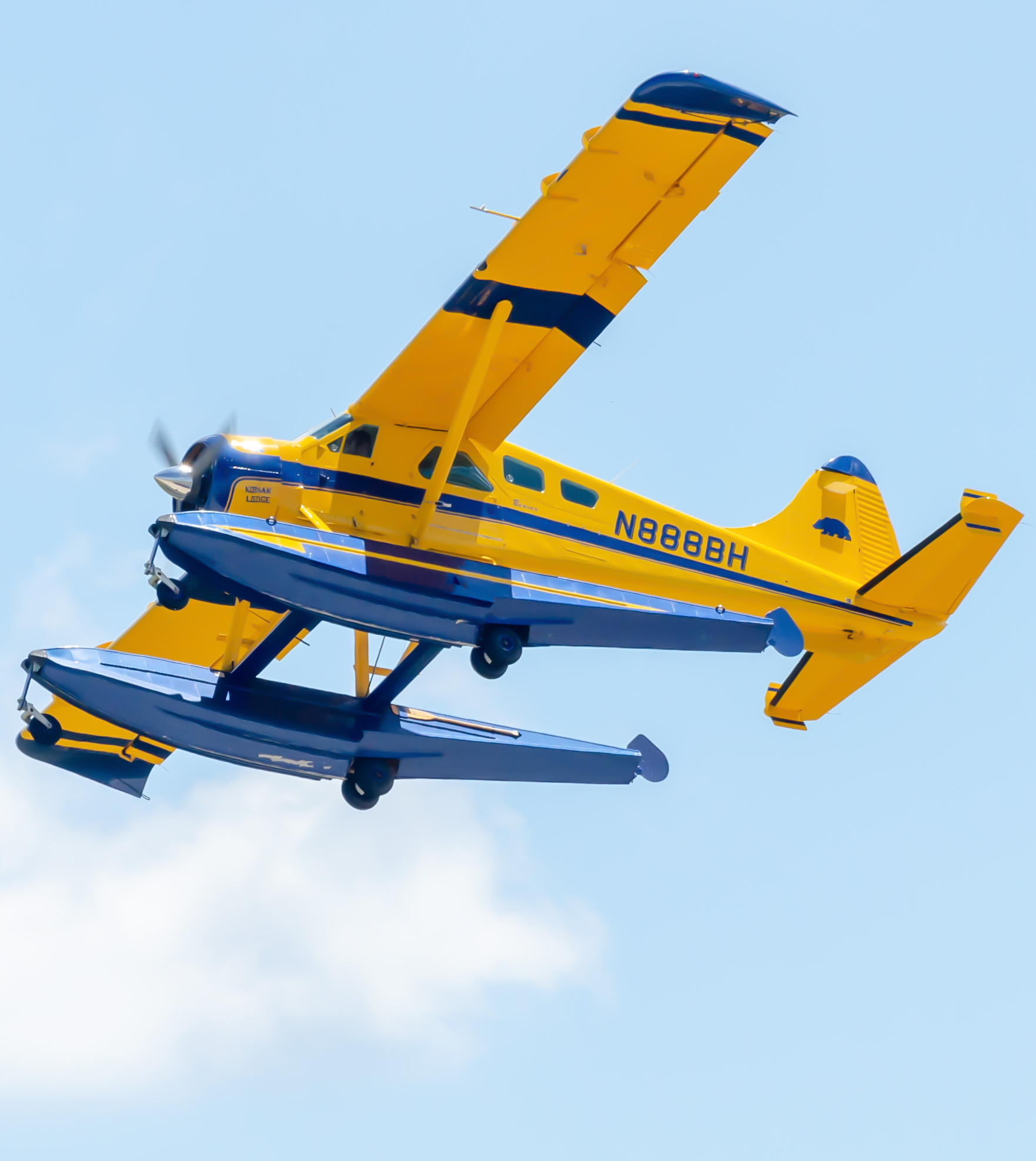 Full size: PRIVATE De Havilland DHC-2 N888BH at Wittman Regional Airport
