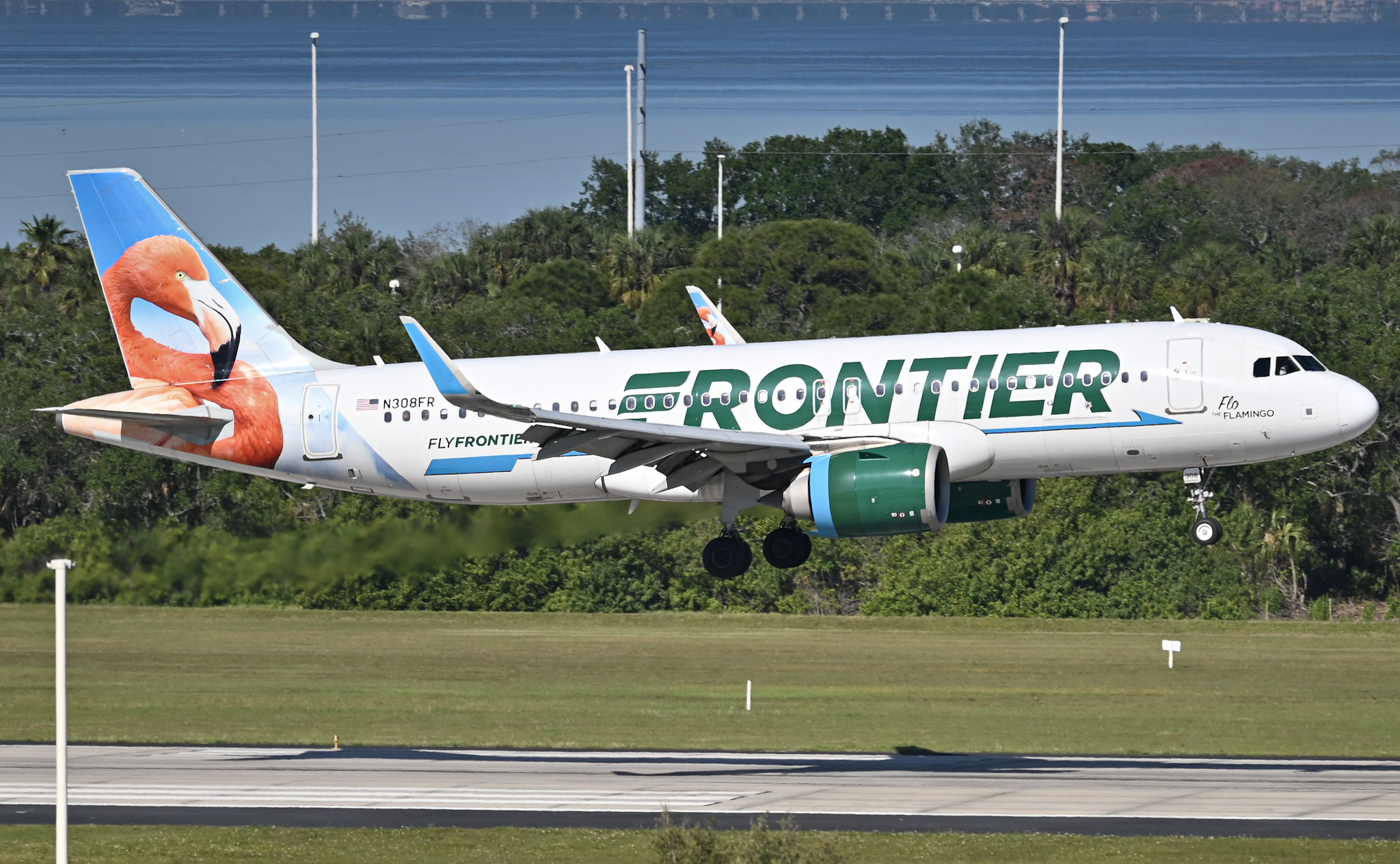 Full size: Frontier Airlines Airbus A320NEO N308FR at Tampa International Airport